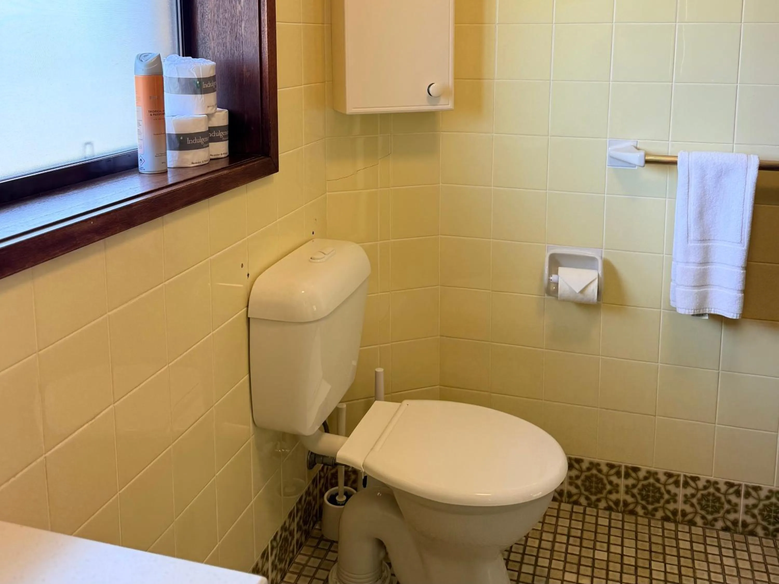 Toilet in Leski Club