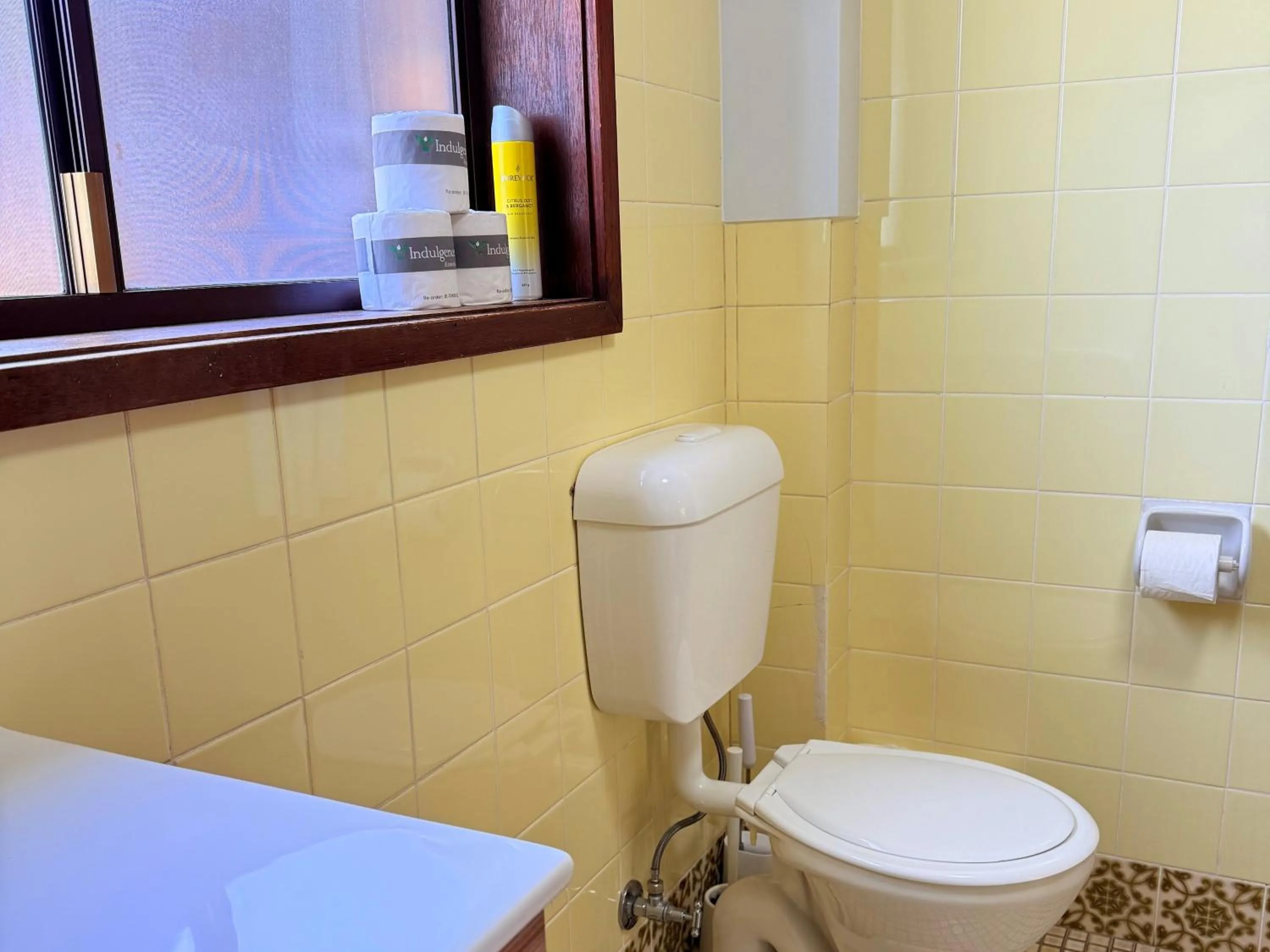 Toilet in Leski Club
