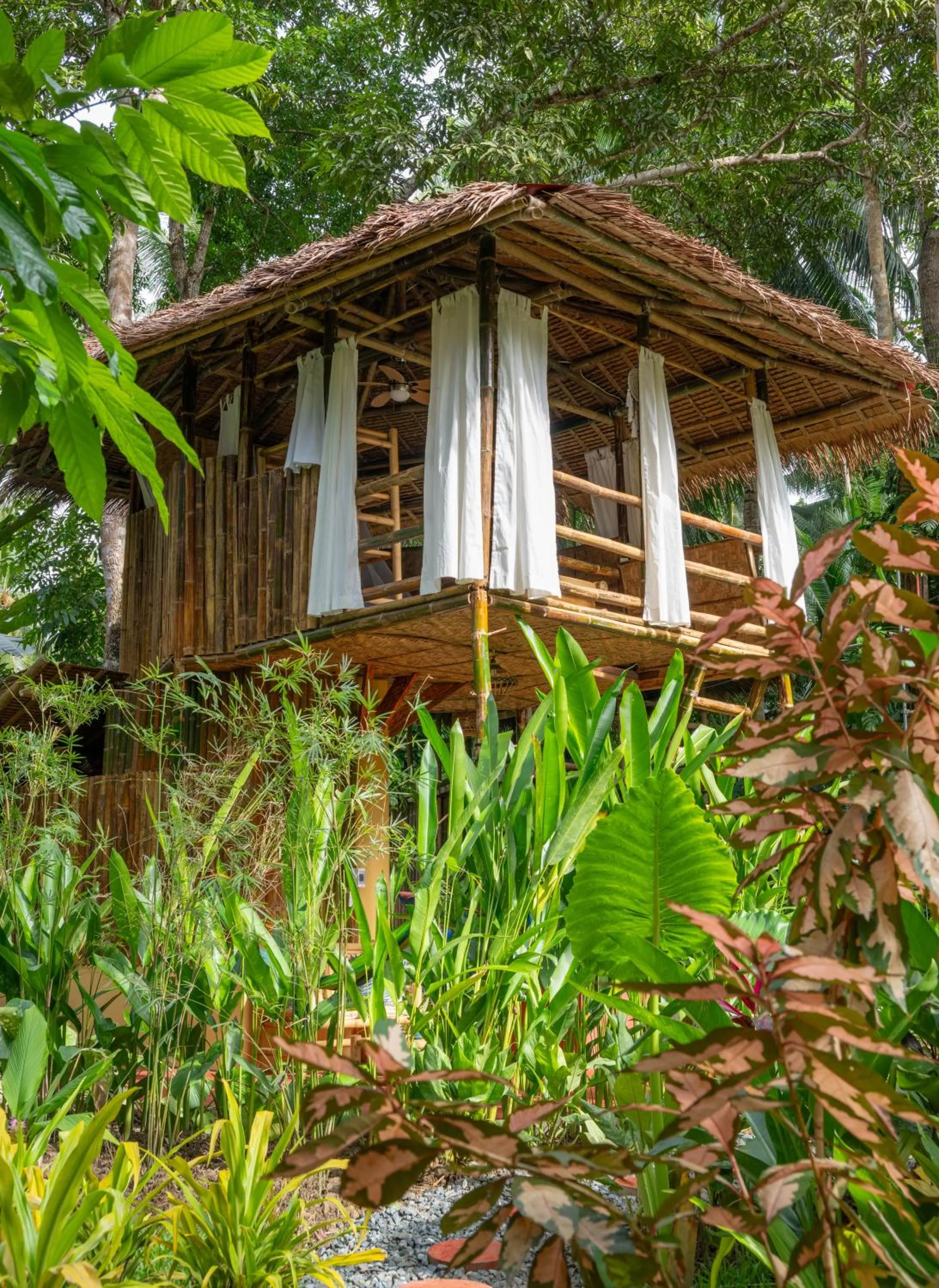 Water to Forest Ecolodge