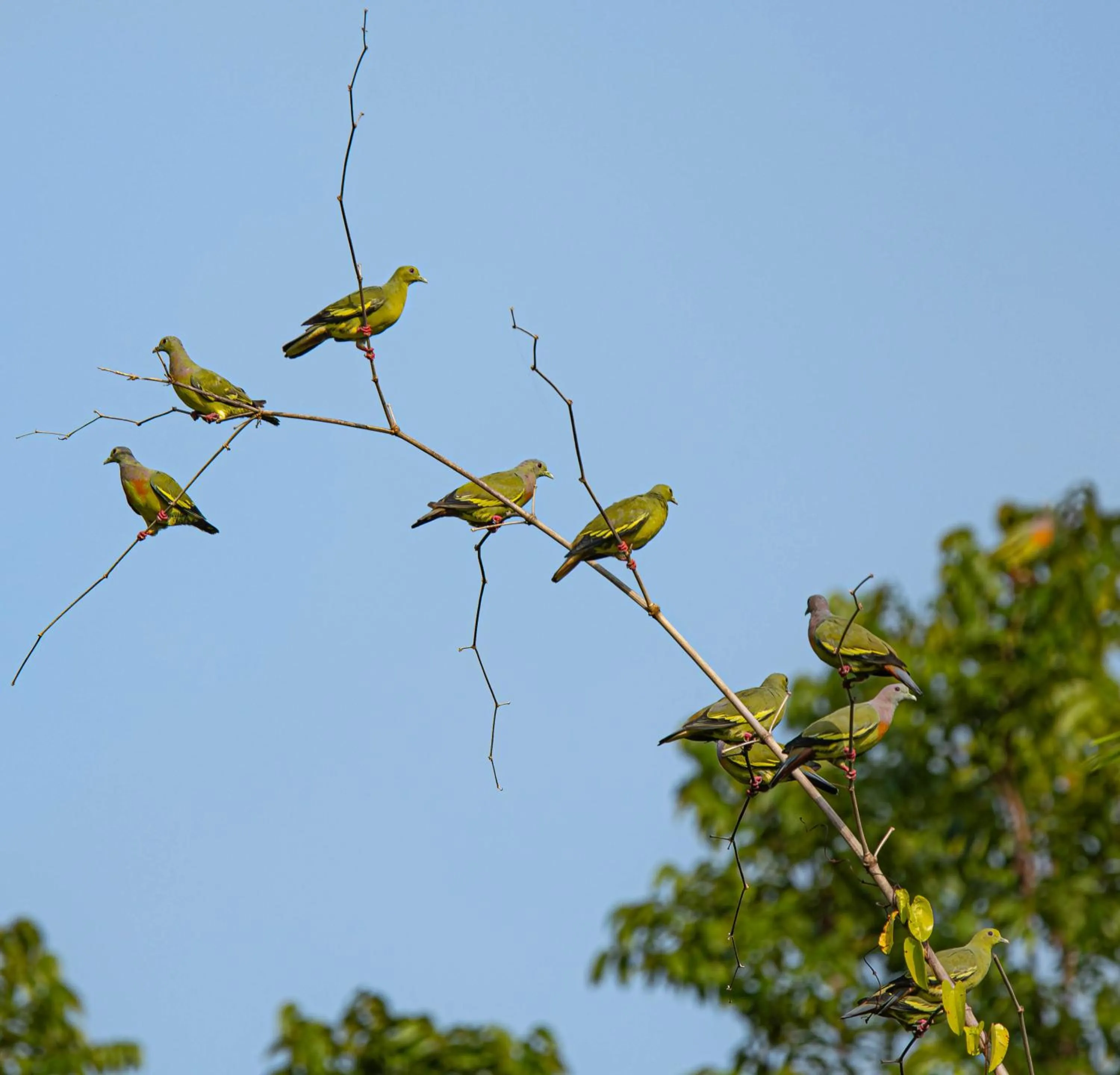 Water to Forest Ecolodge