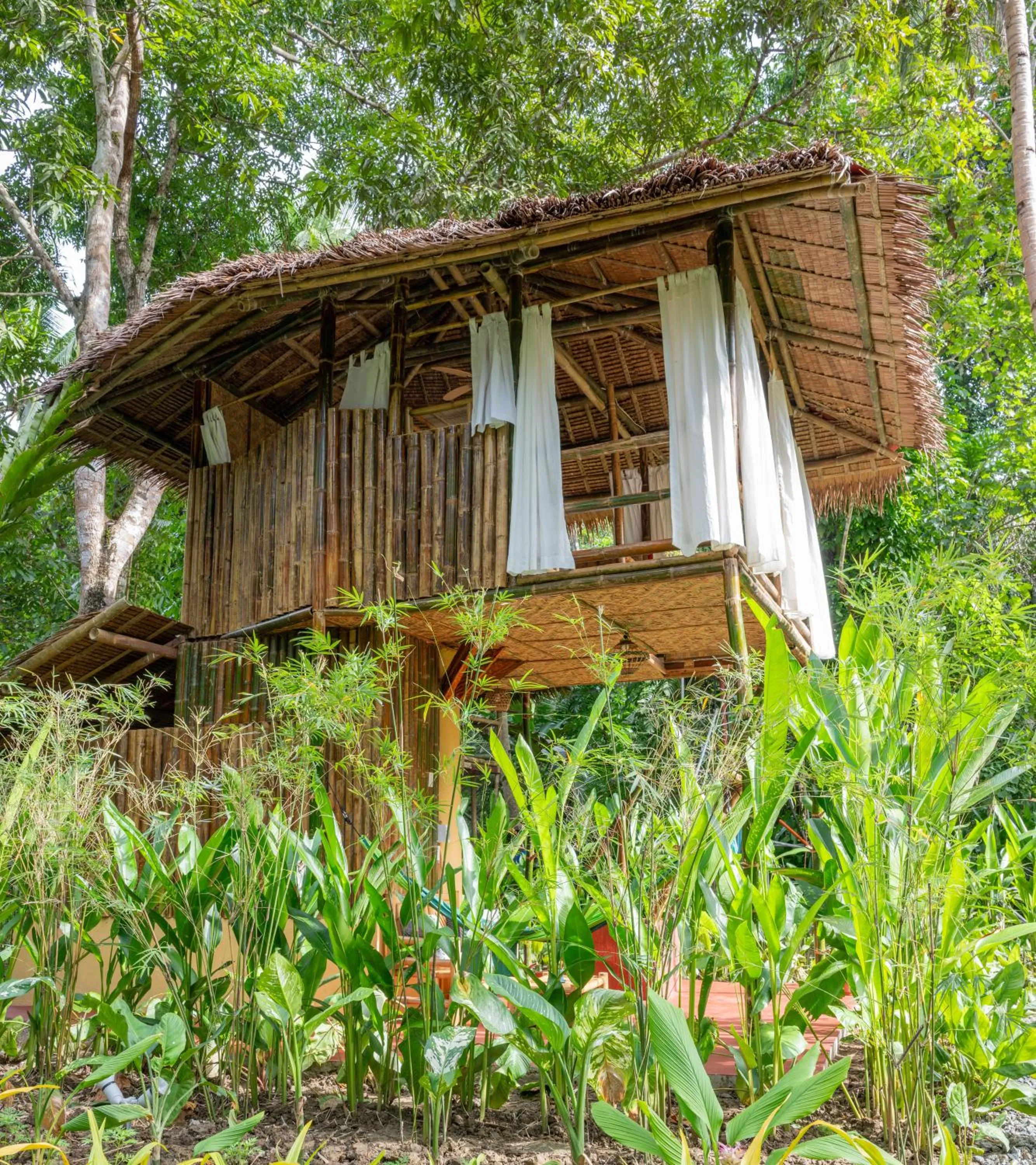 Water to Forest Ecolodge