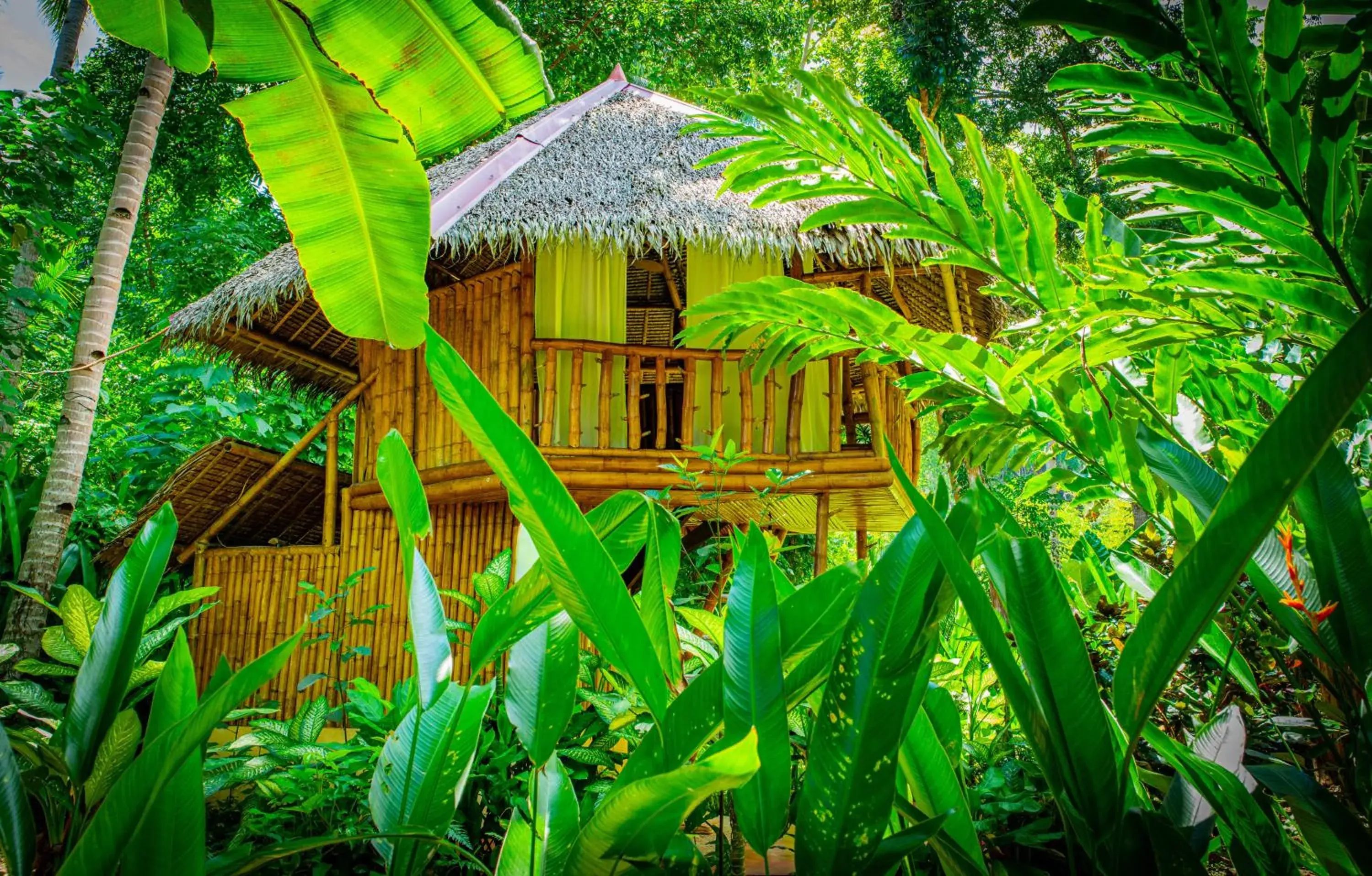Tree house with private bathroom in Water to Forest Ecolodge Tree house with private bathroom in Water to Forest Ecolodge