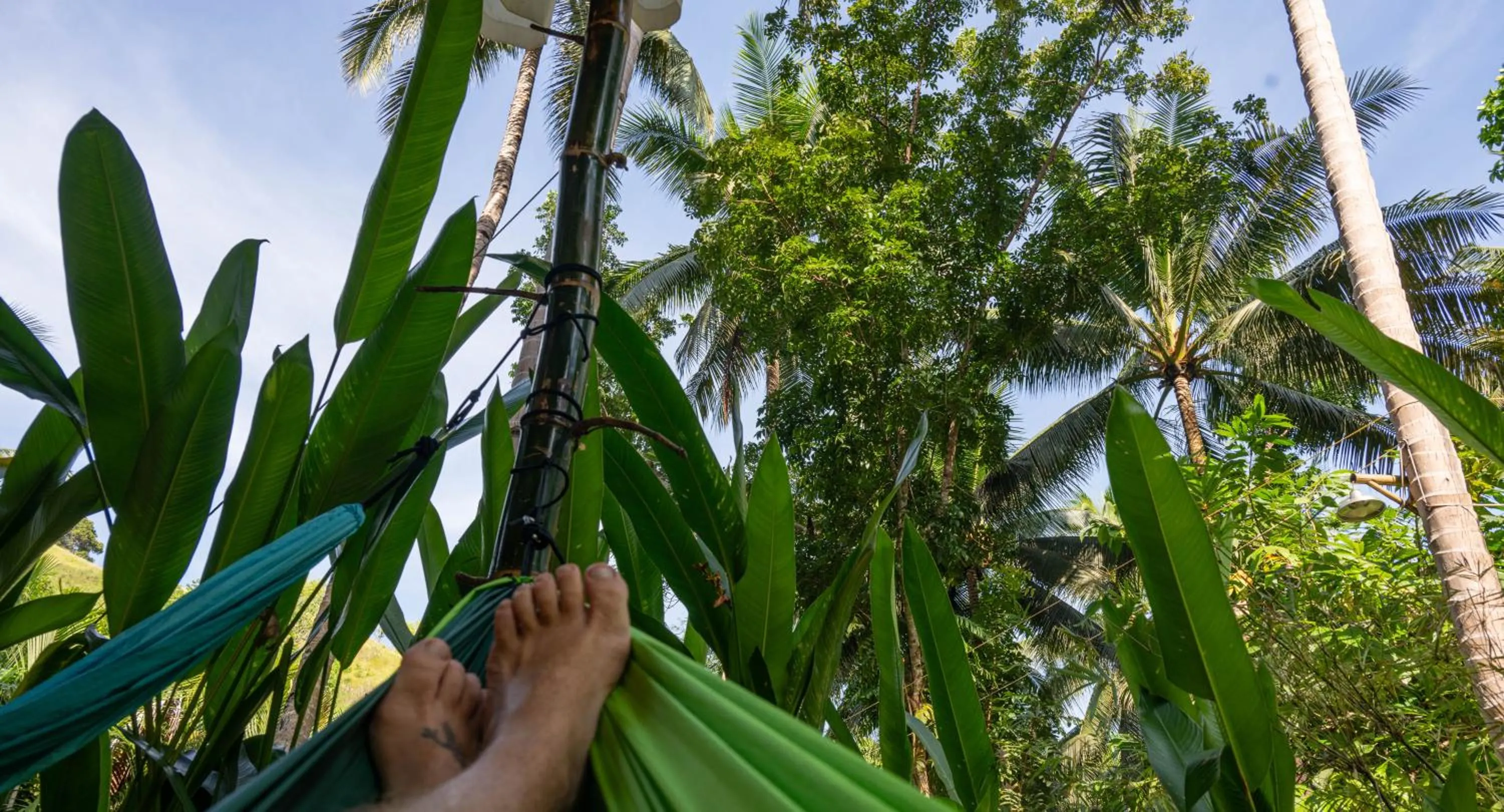 Water to Forest Ecolodge