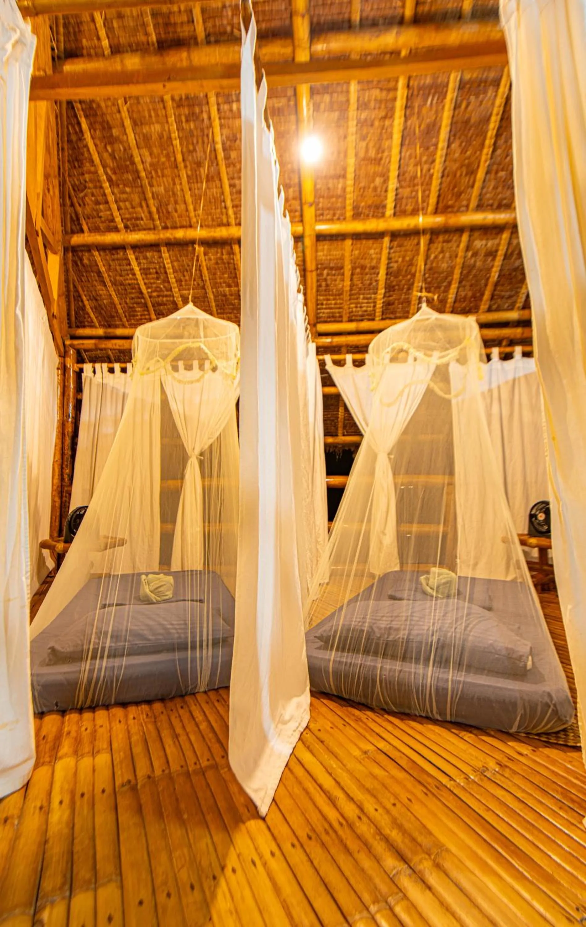 Bed in Water to Forest Ecolodge