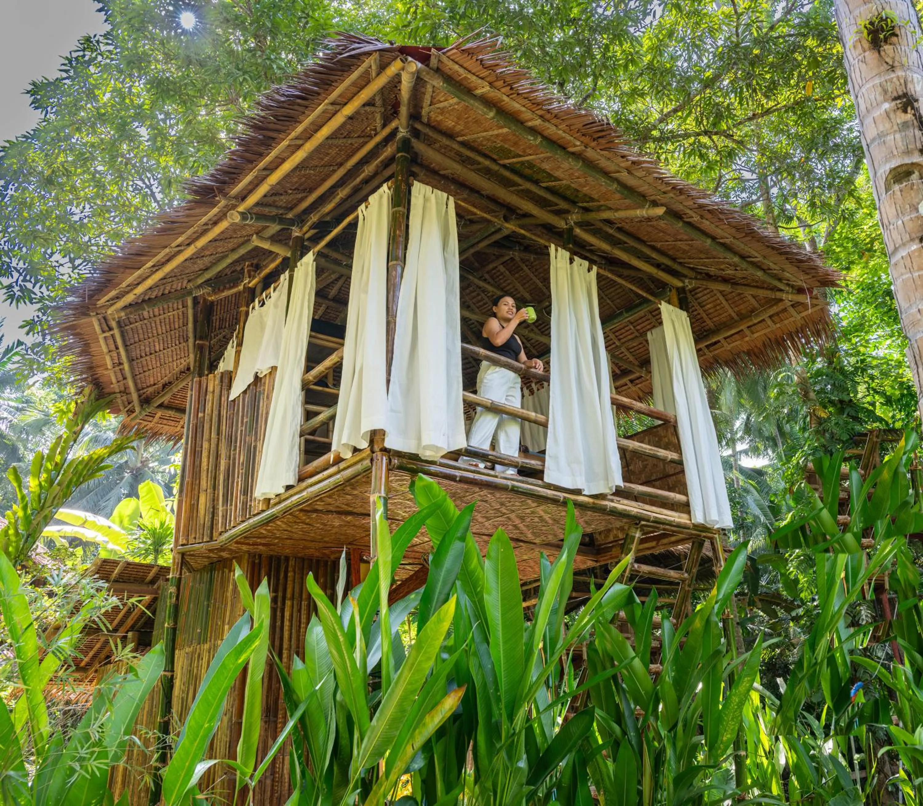 Water to Forest Ecolodge