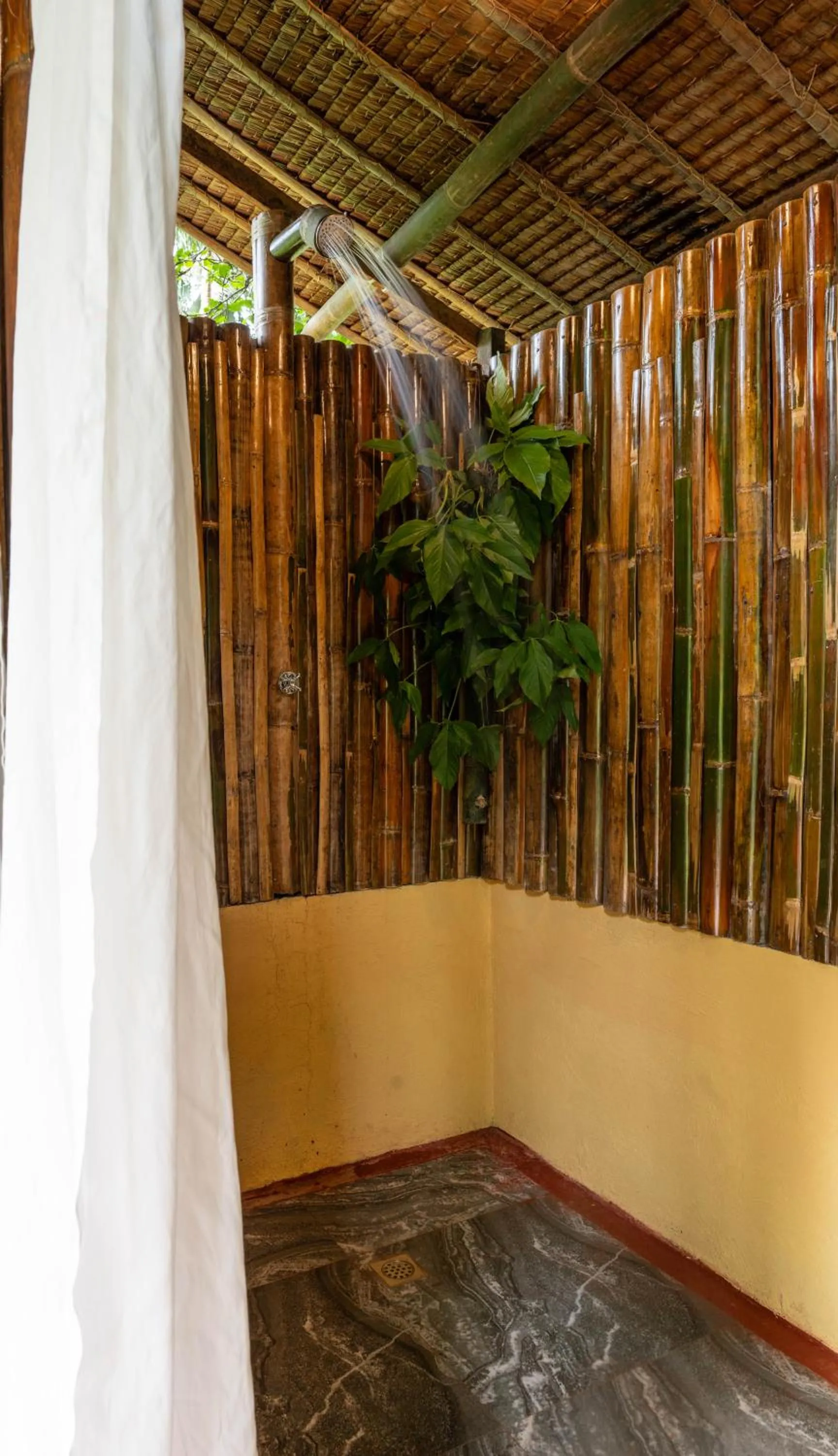 Water to Forest Ecolodge