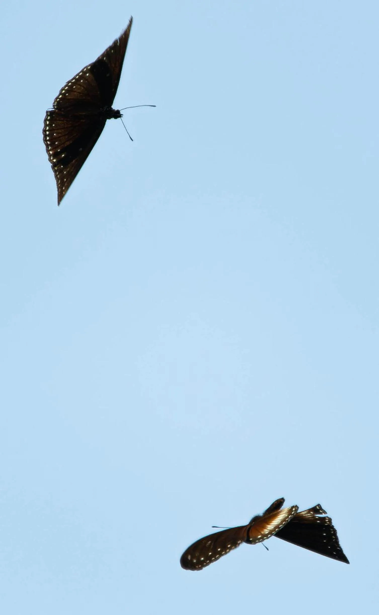 Water to Forest Ecolodge