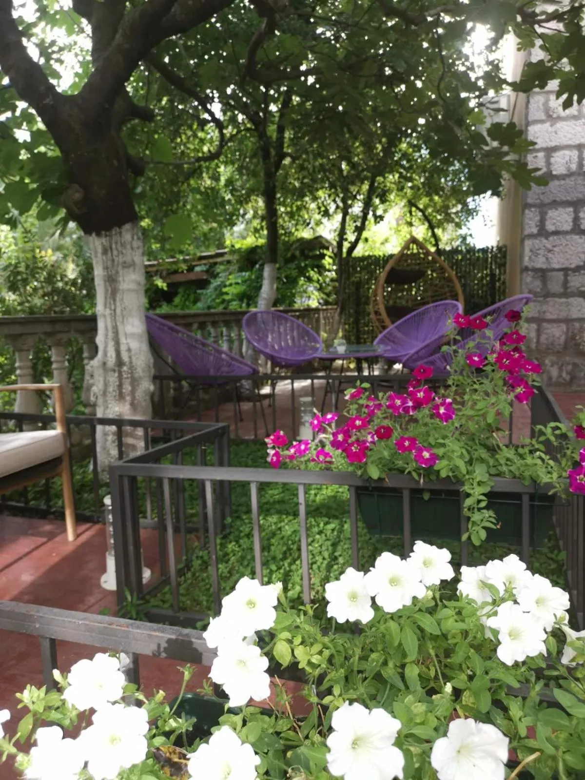 Garden in Hotel Alkima