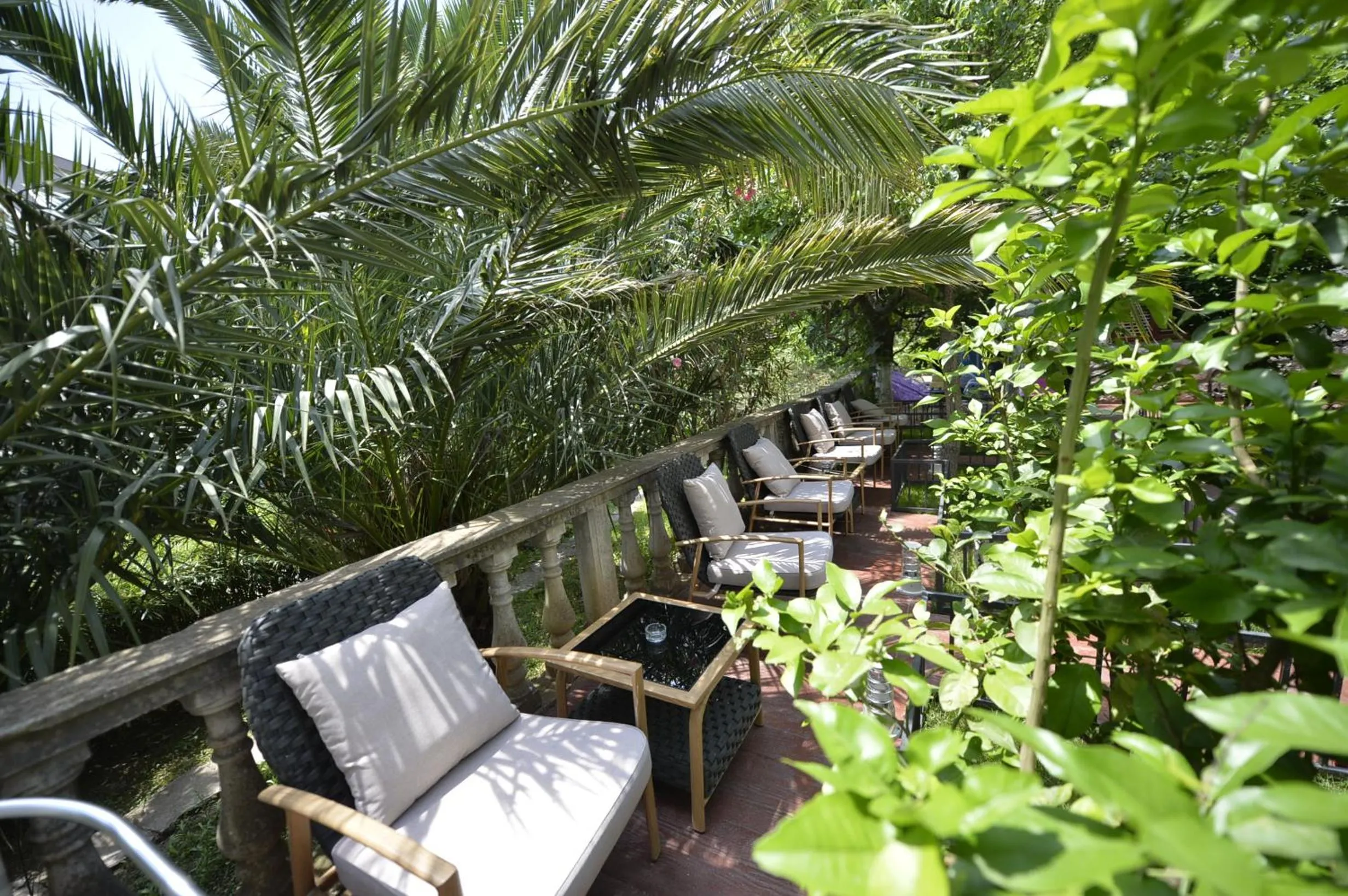 Garden in Hotel Alkima