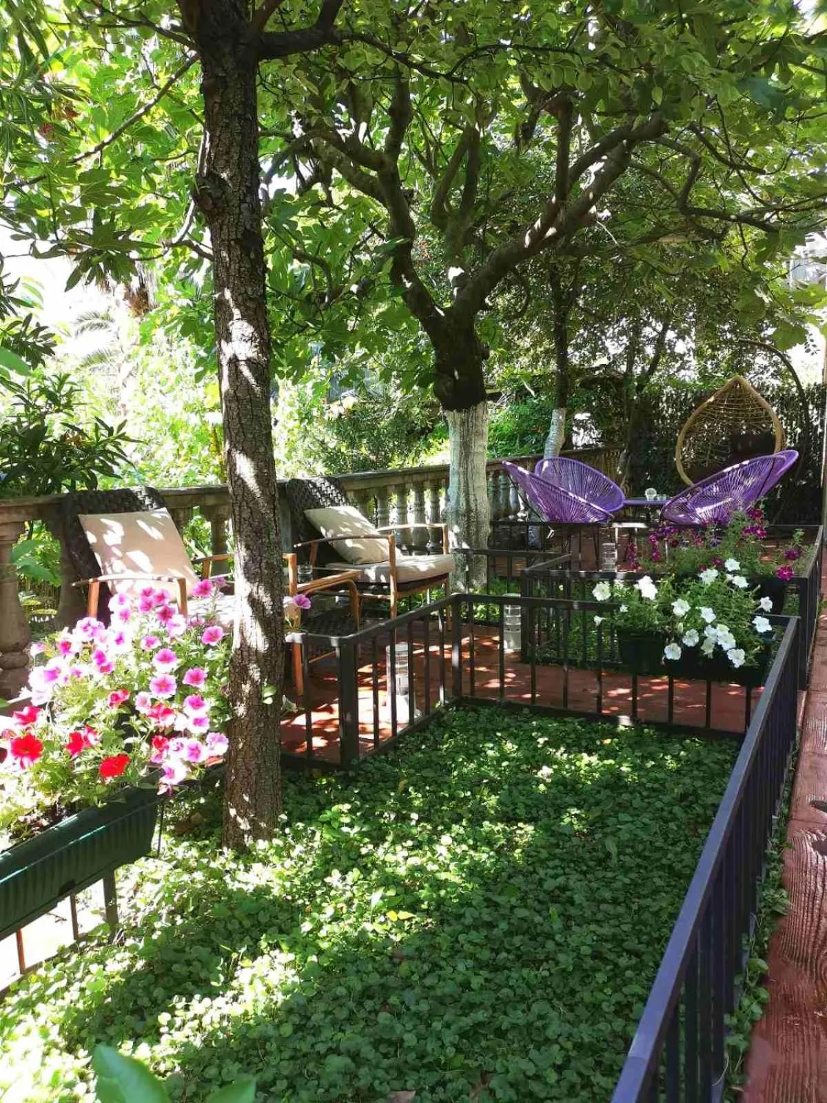 Garden in Hotel Alkima