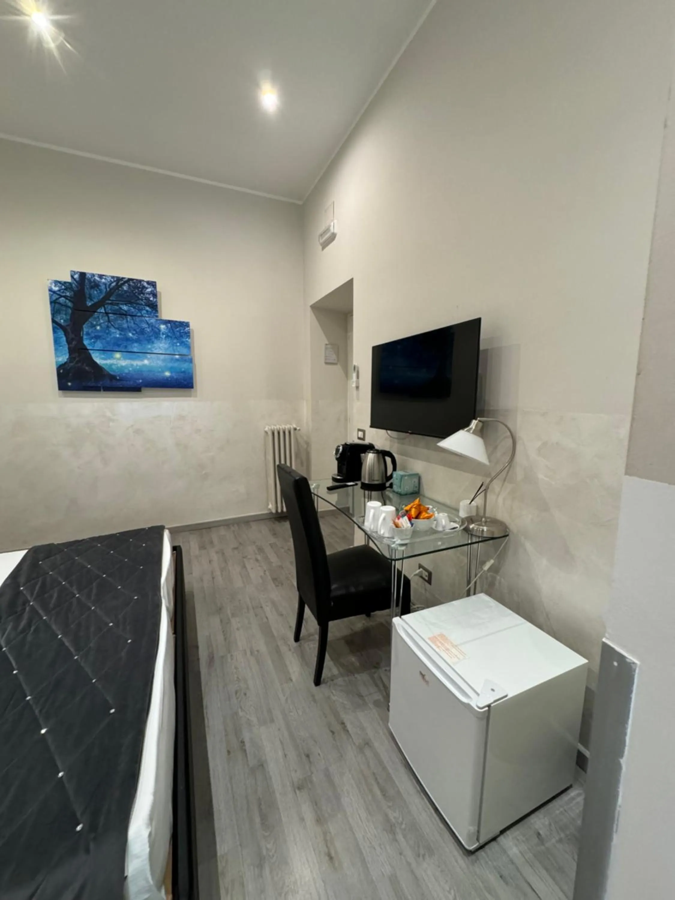 TV and multimedia in RHS Rienzo Suites