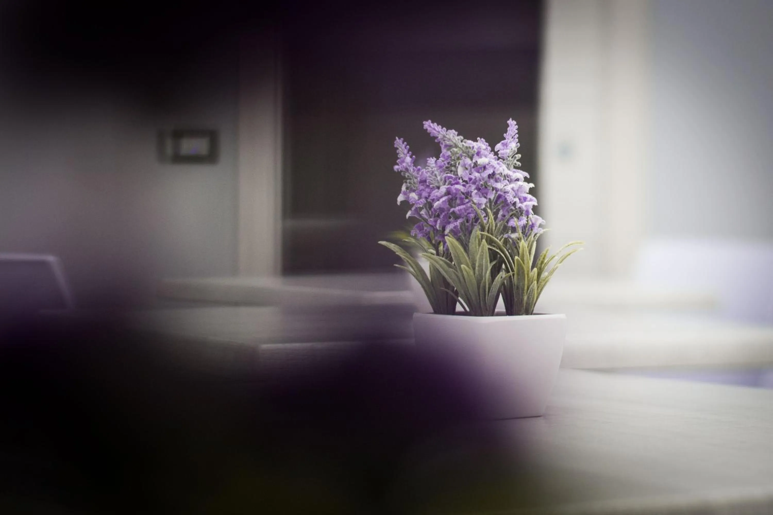 Decorative detail in B&B La Piazzetta