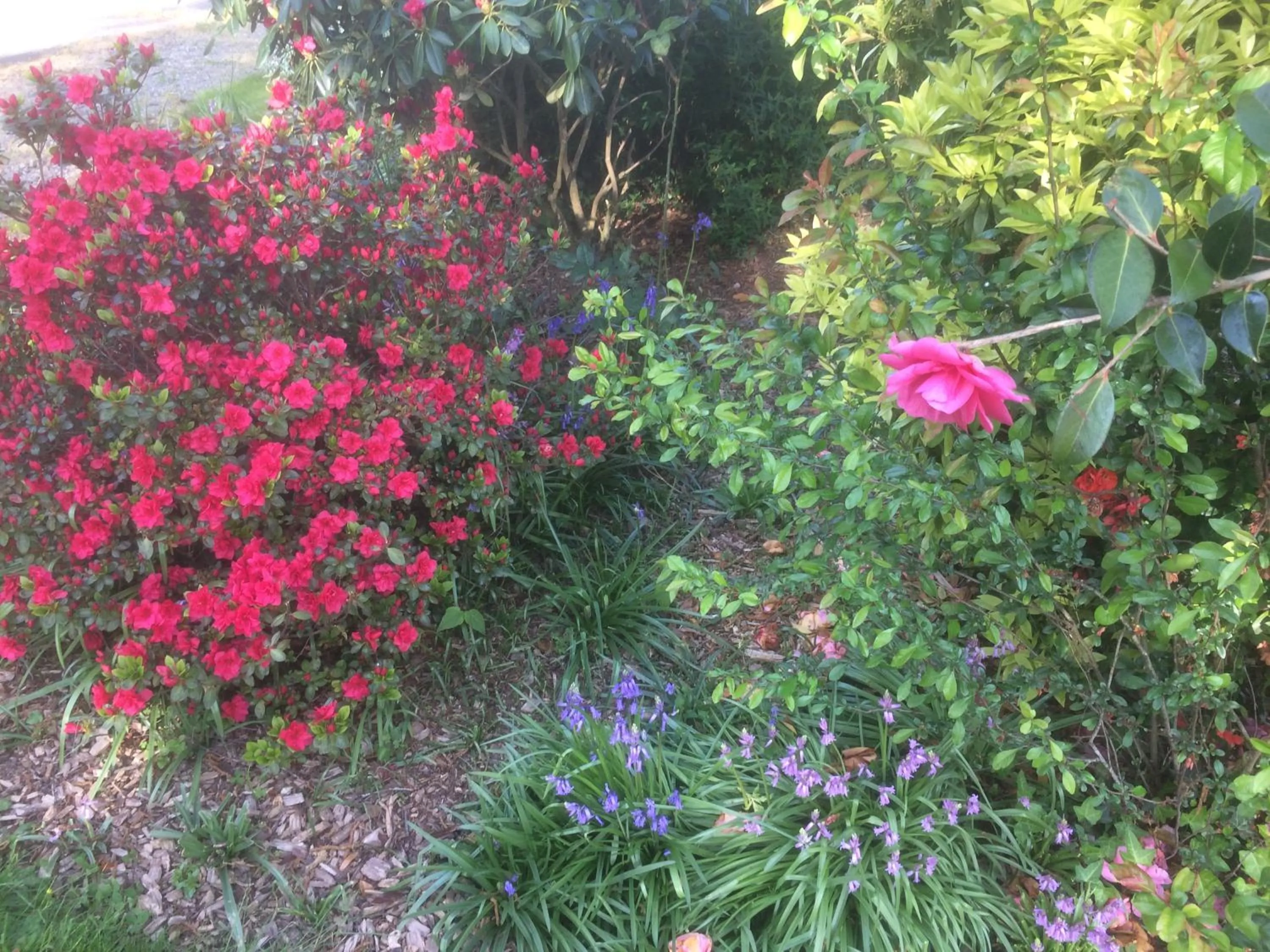 Garden in La Chambre Montbrault