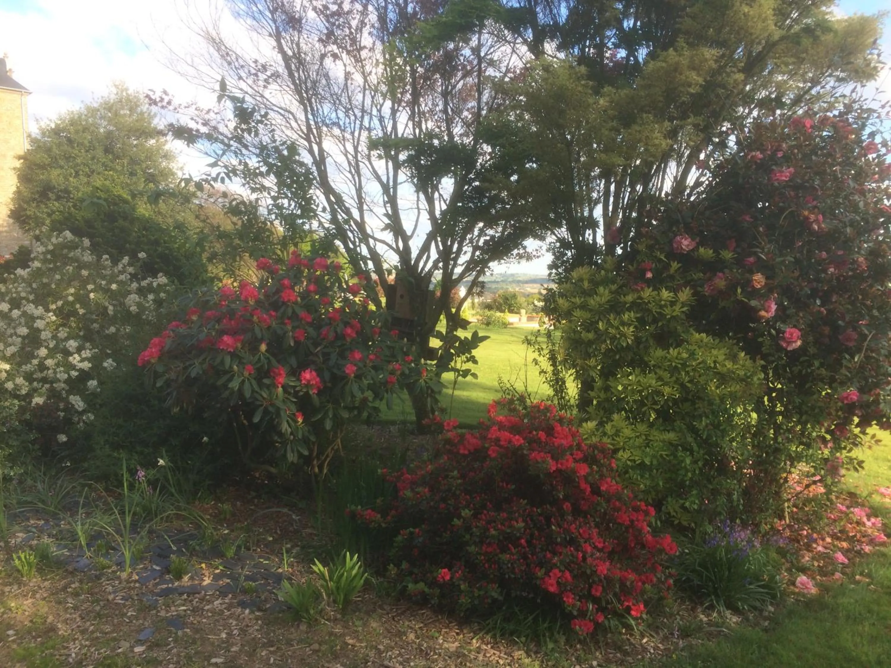 Garden in La Chambre Montbrault