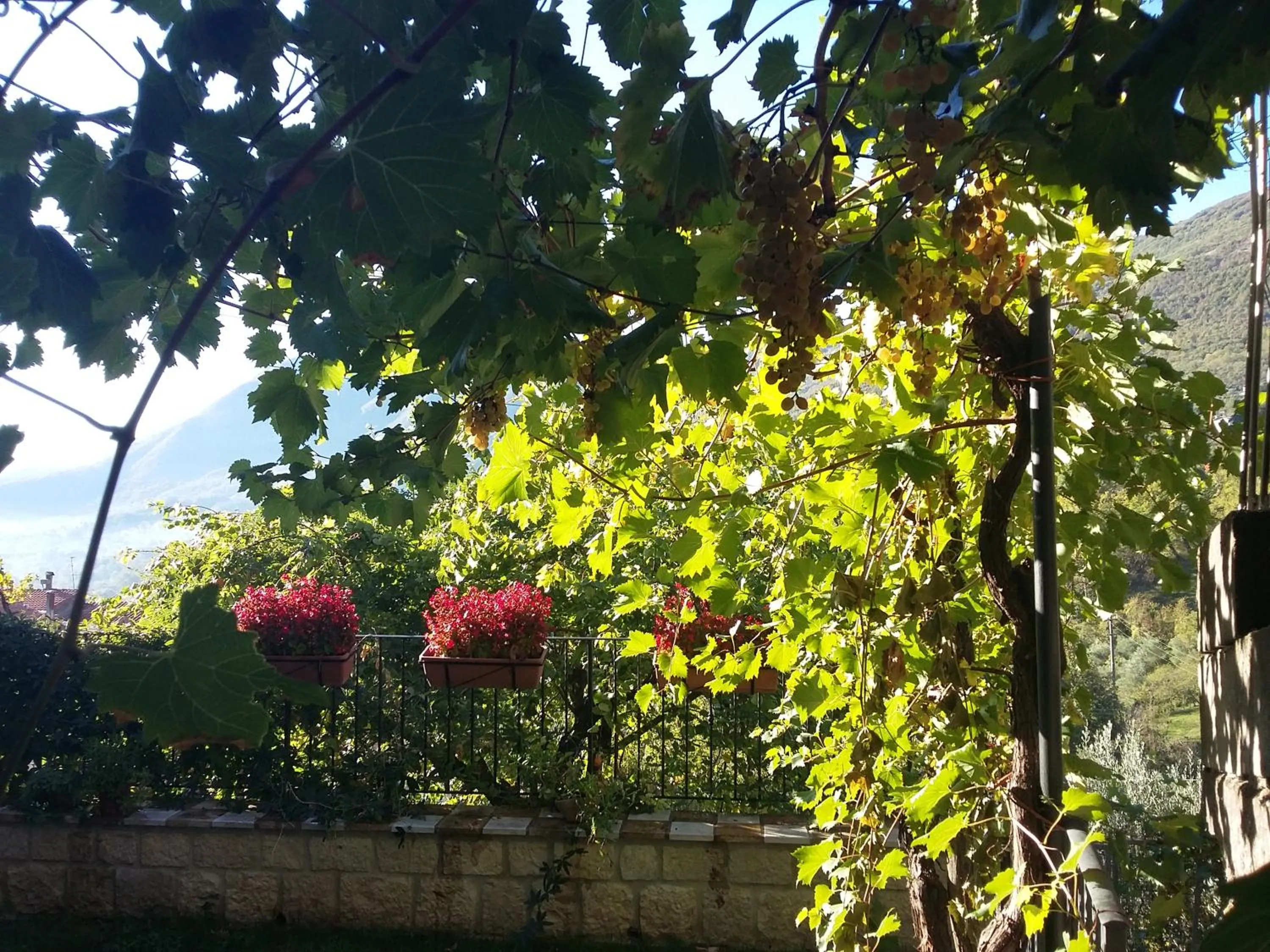 Property building in Cusanarella Mia