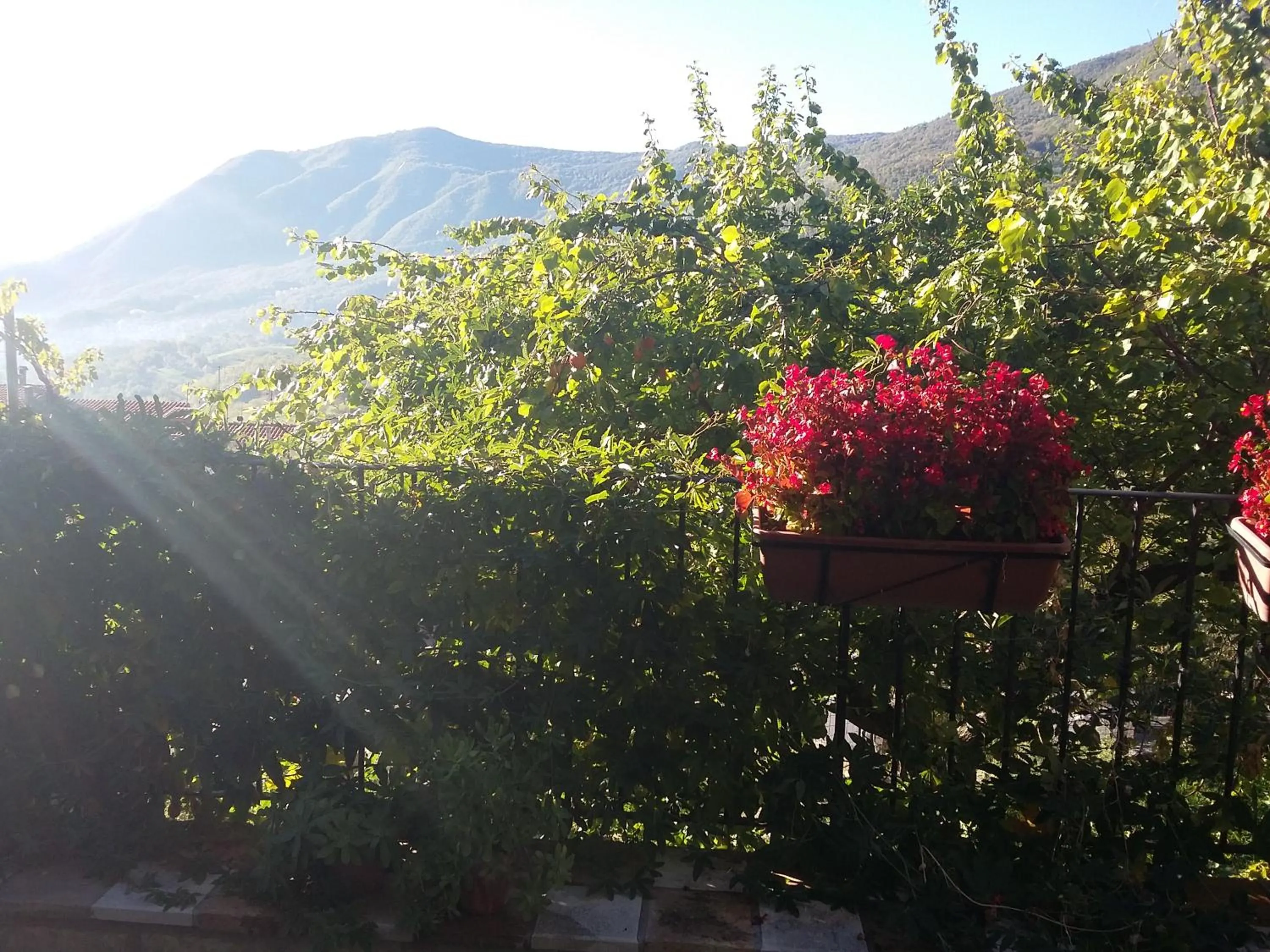 Property building in Cusanarella Mia