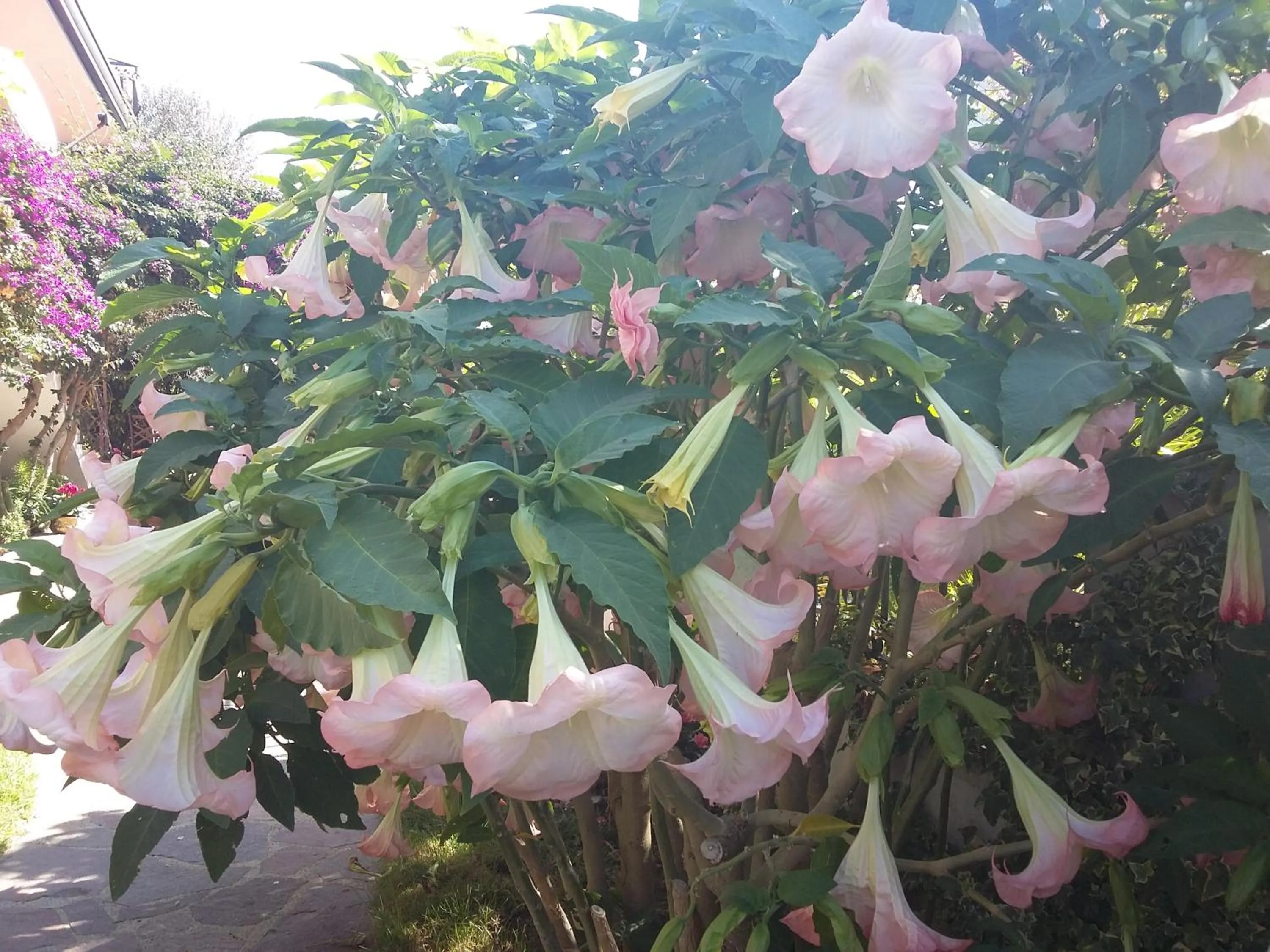 Property building in Cusanarella Mia