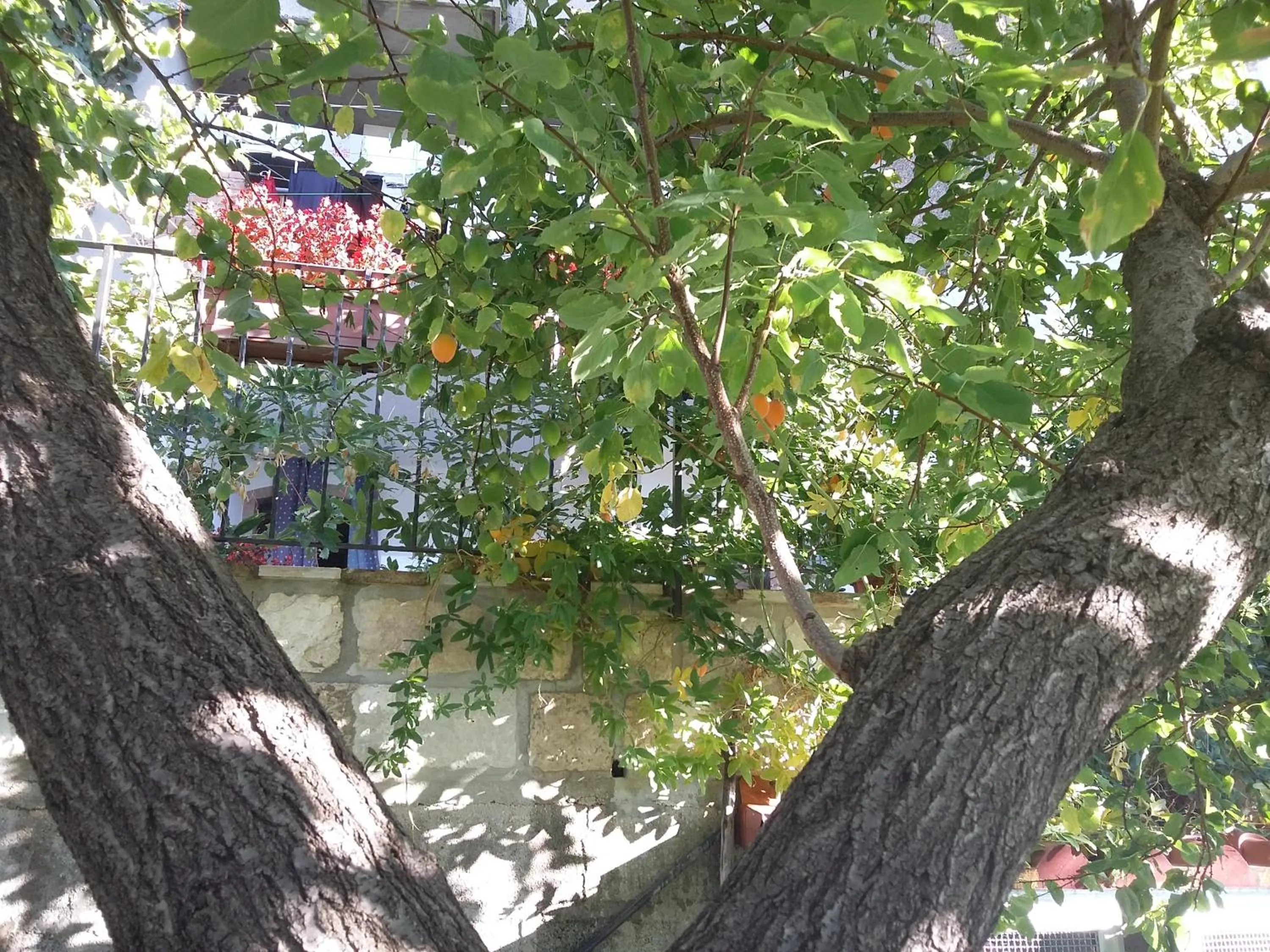 Property building in Cusanarella Mia