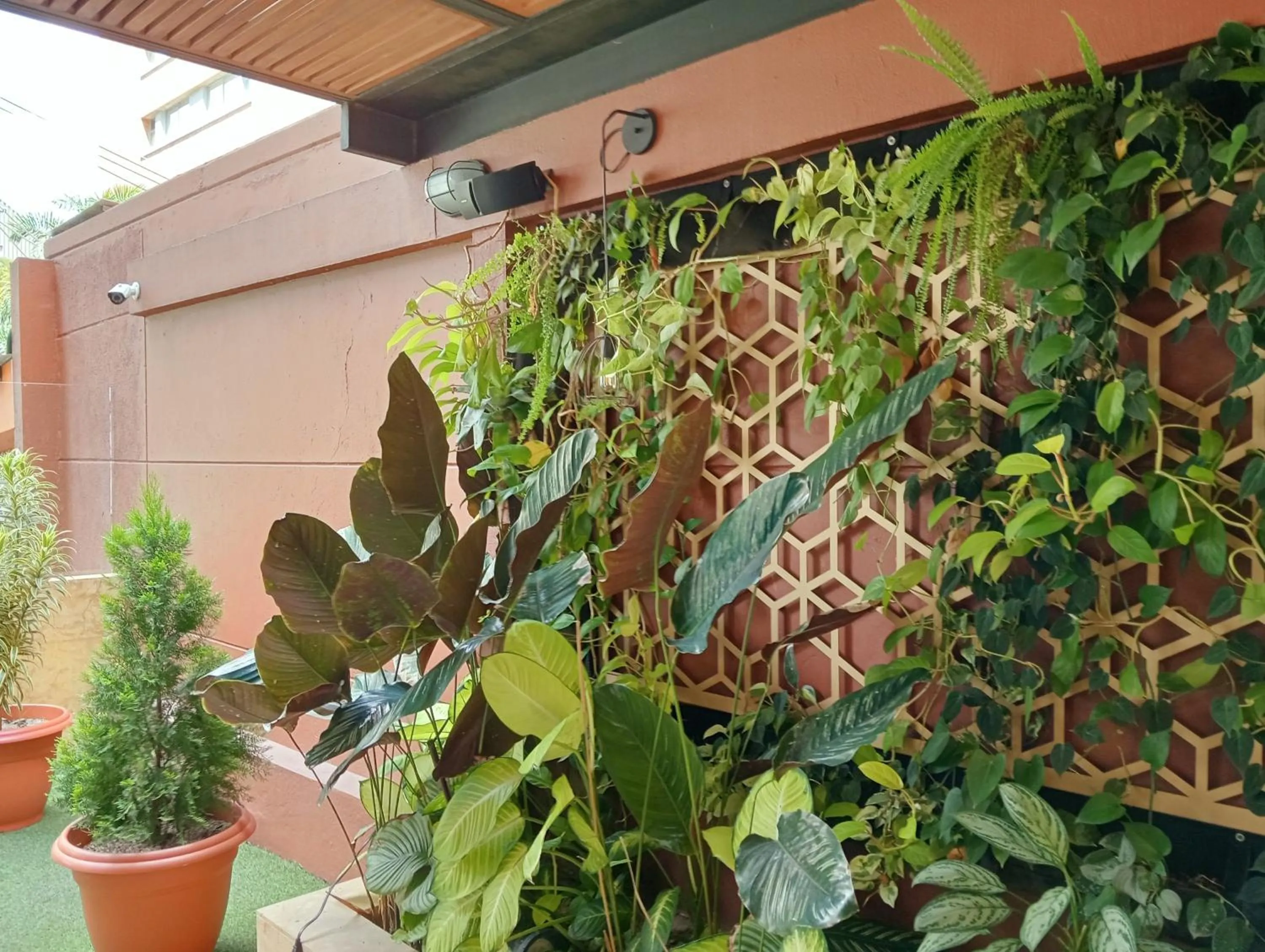 Garden in Hotel Lomas 10 Medellin