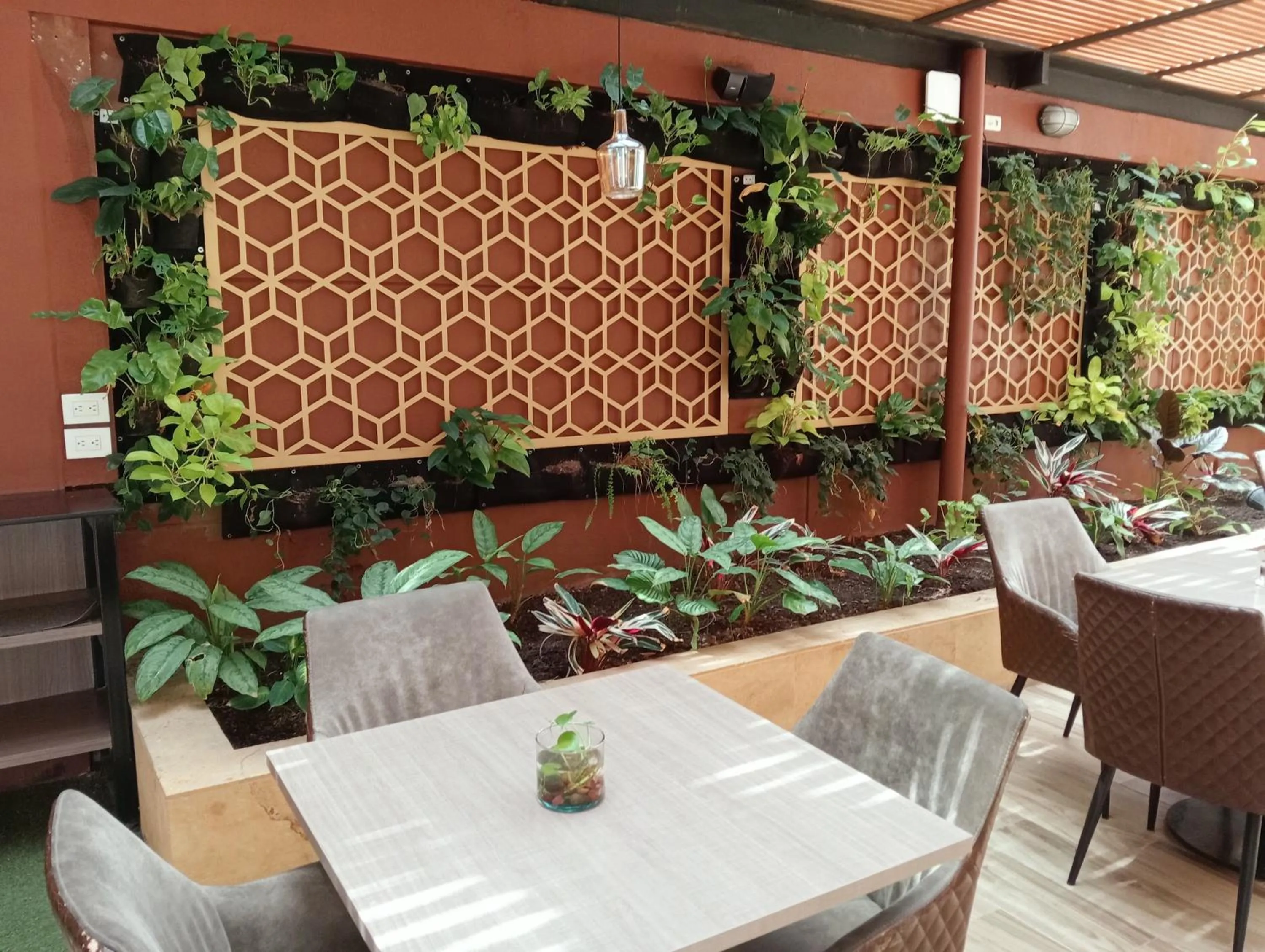 Restaurant/places to eat in Hotel Lomas 10 Medellin