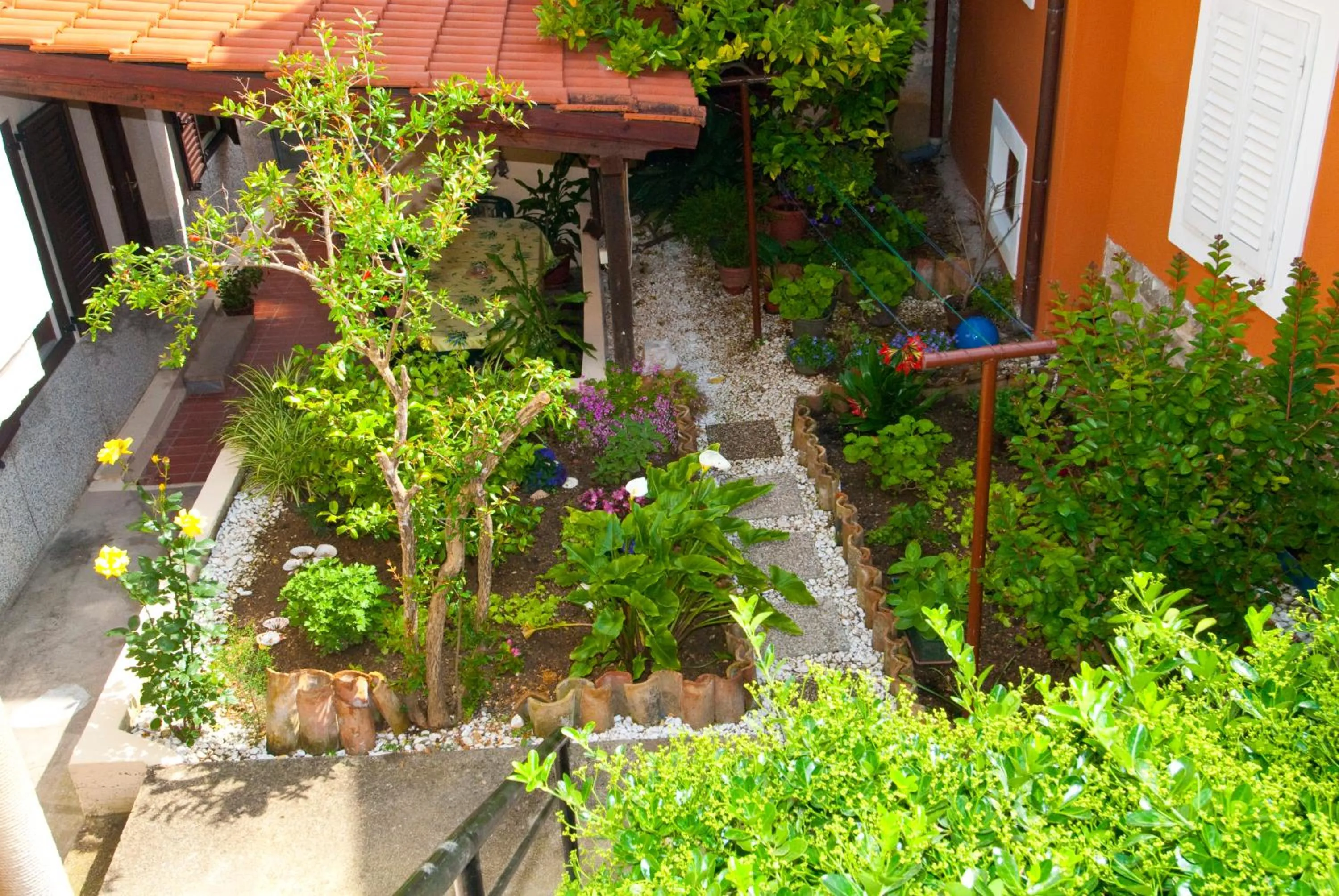 Garden in Apartman Nadia