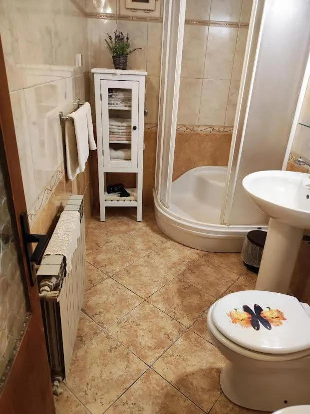 Shower in Apartman Nadia