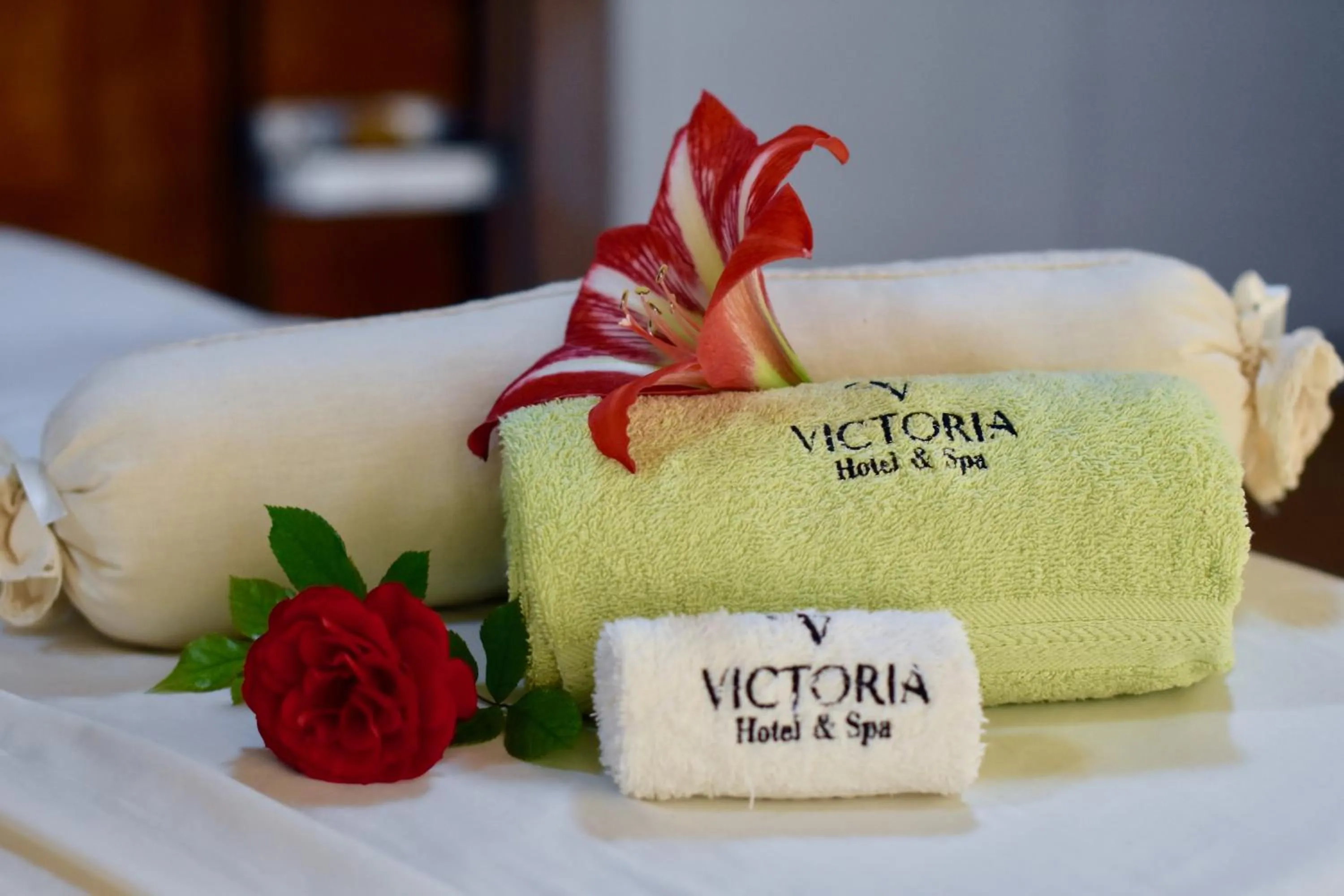 Spa and wellness centre/facilities in Victoria Hotel y Spa