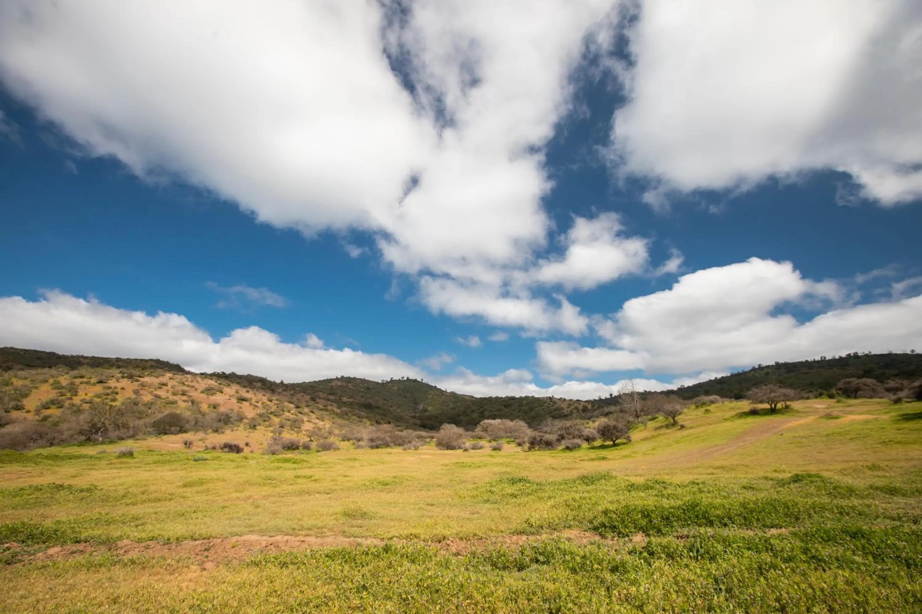 Hotel Boutique BC Wine Casablanca