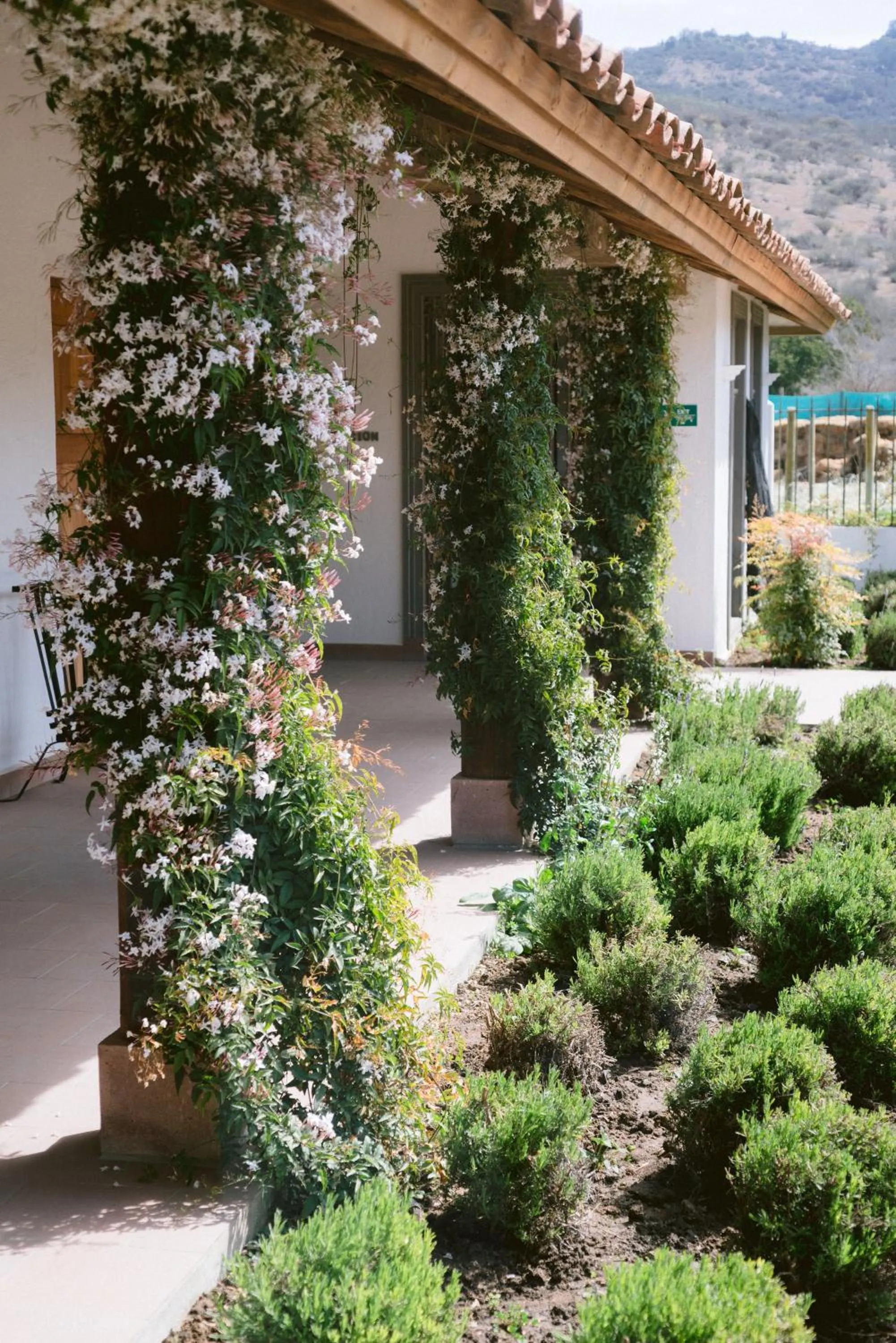 Hotel Boutique BC Wine Casablanca