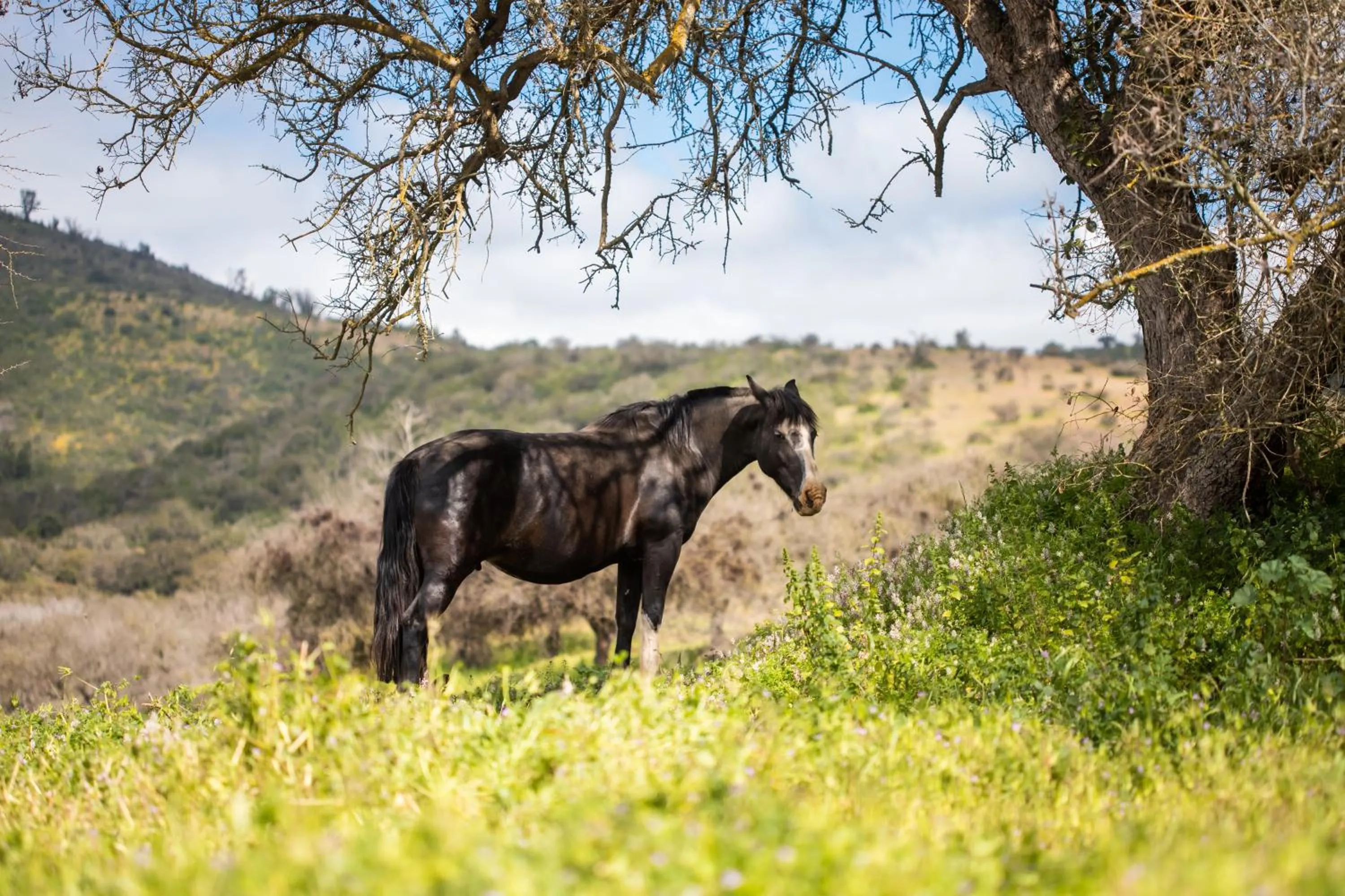 Hotel Boutique BC Wine Casablanca
