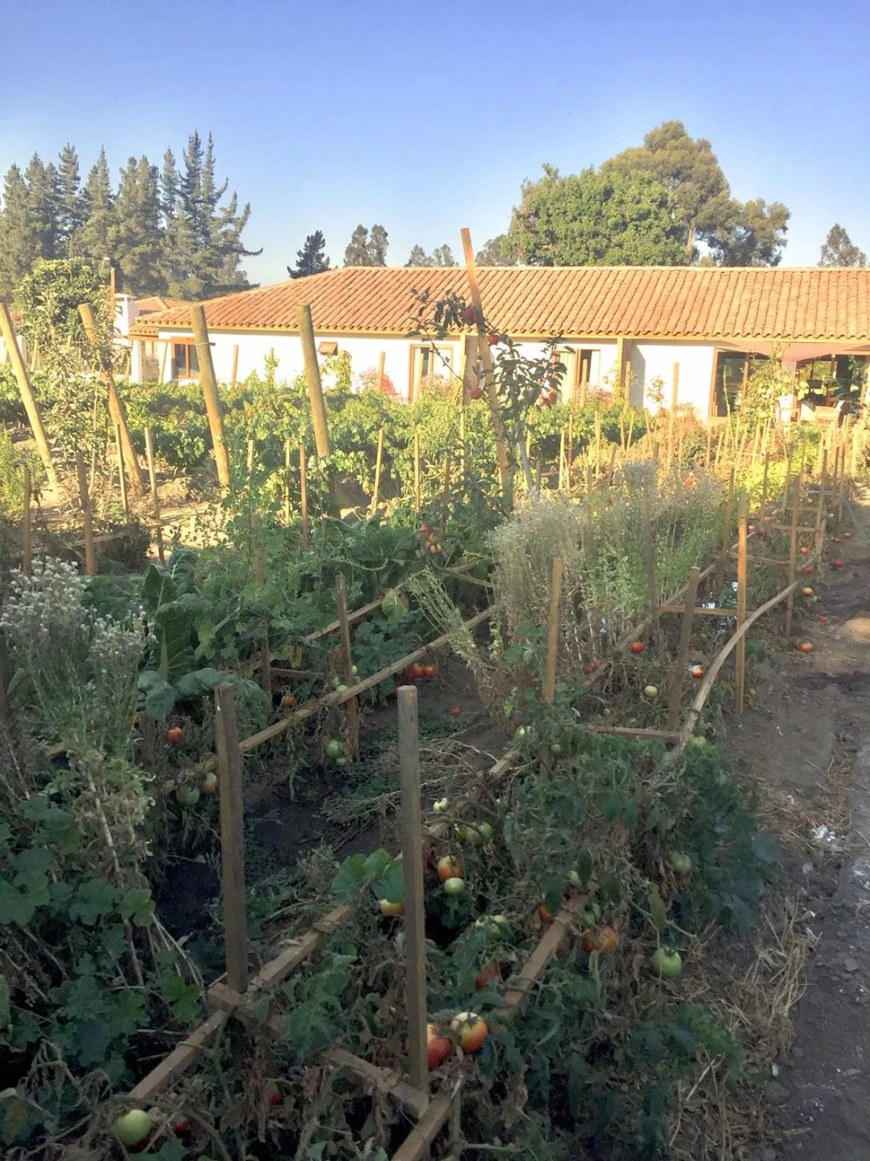 Hotel Boutique BC Wine Casablanca