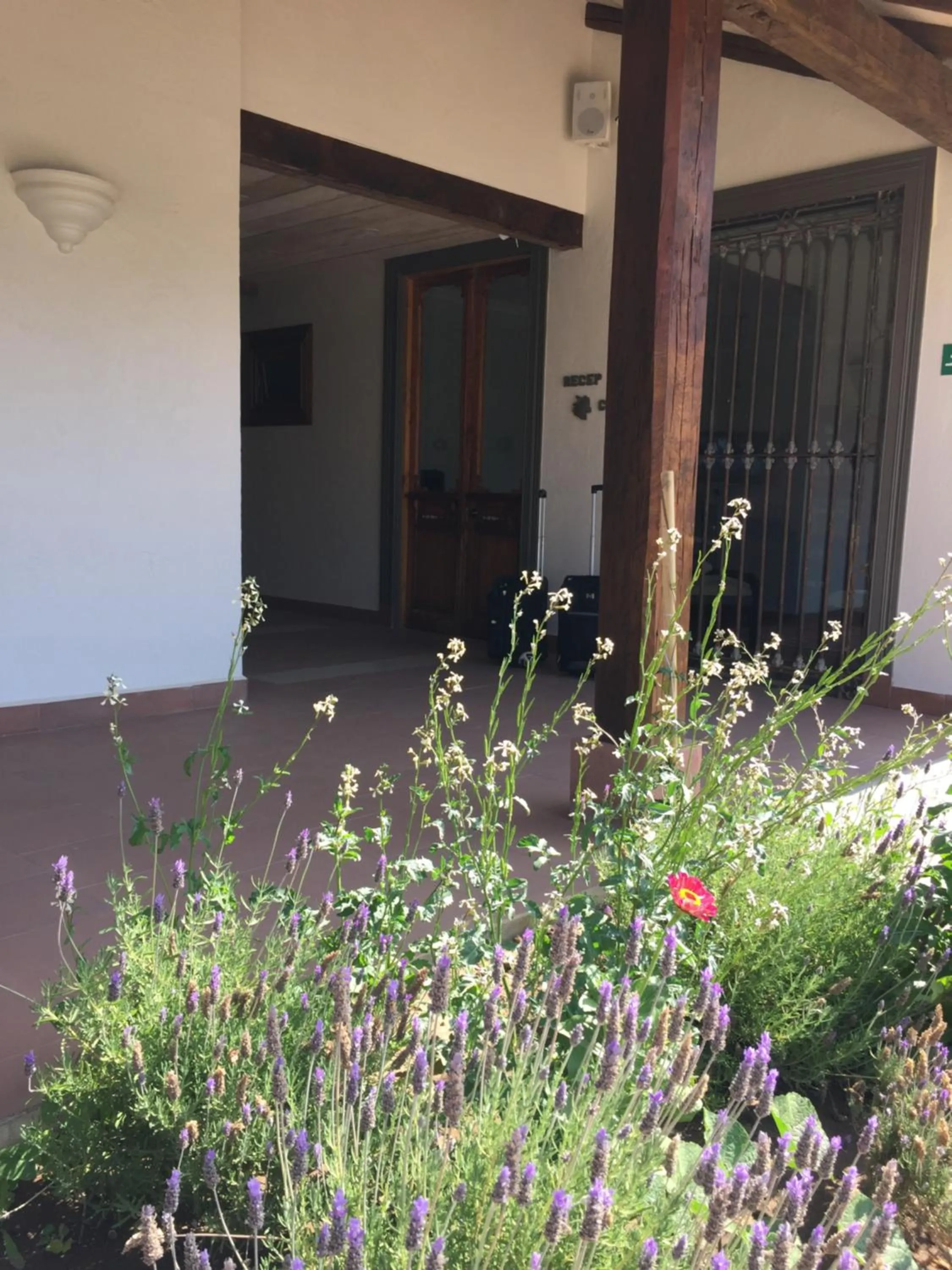 Garden in Hotel Boutique BC Wine Casablanca