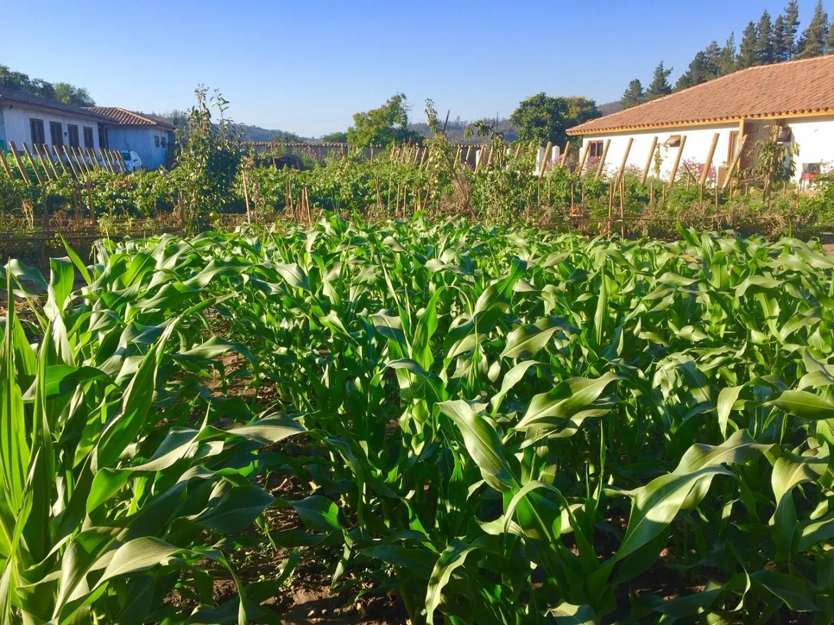 Hotel Boutique BC Wine Casablanca