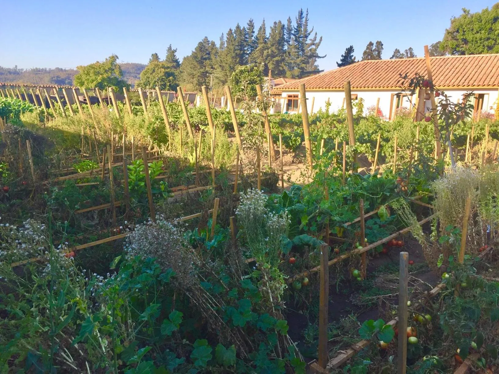 Hotel Boutique BC Wine Casablanca