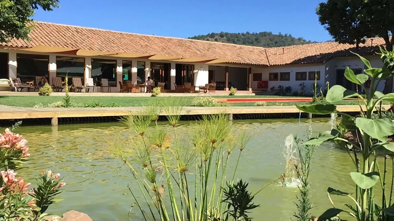 Garden view in Hotel Boutique BC Wine Casablanca