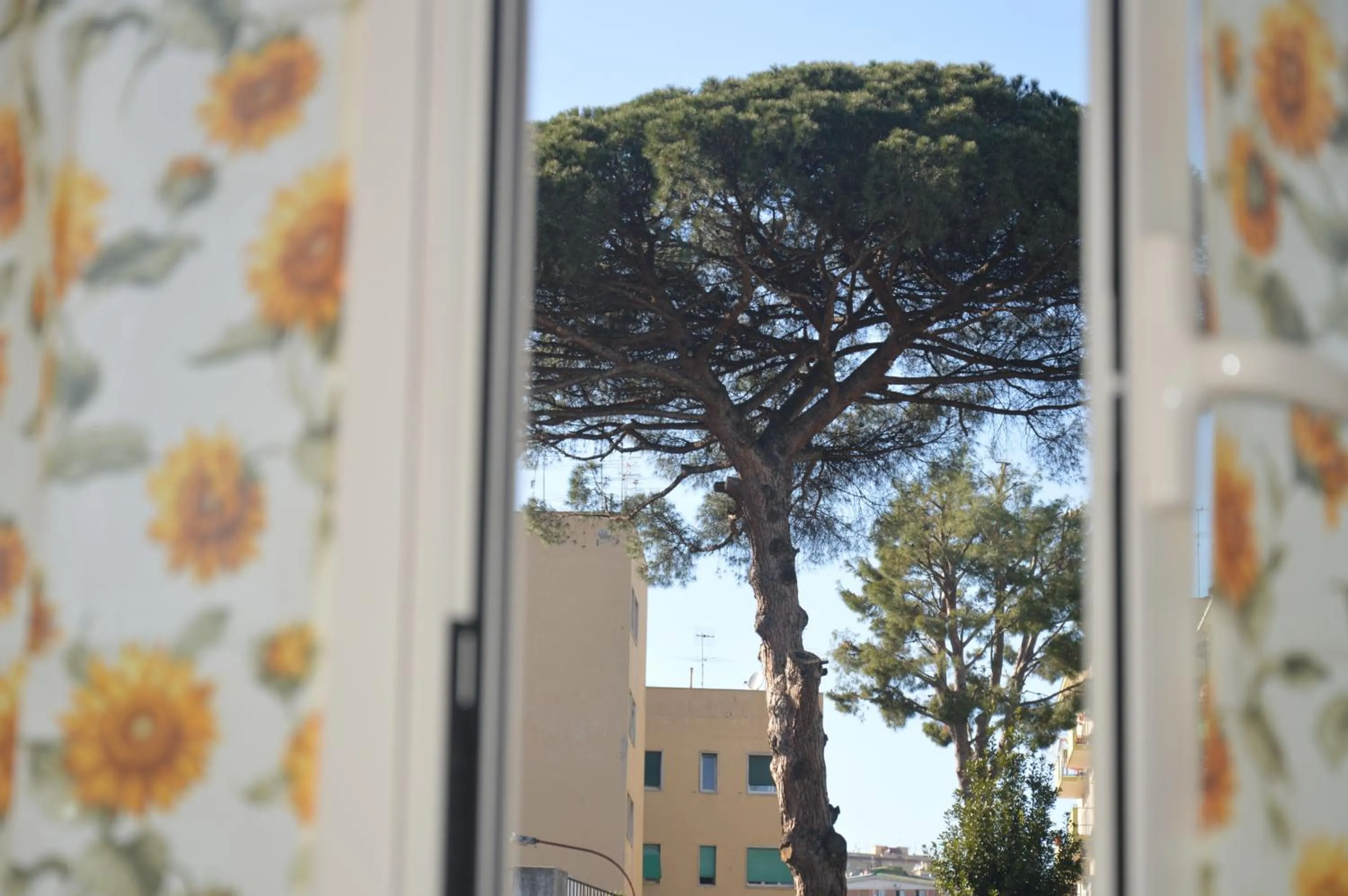 Spring in I Colori di Salvator Rosa