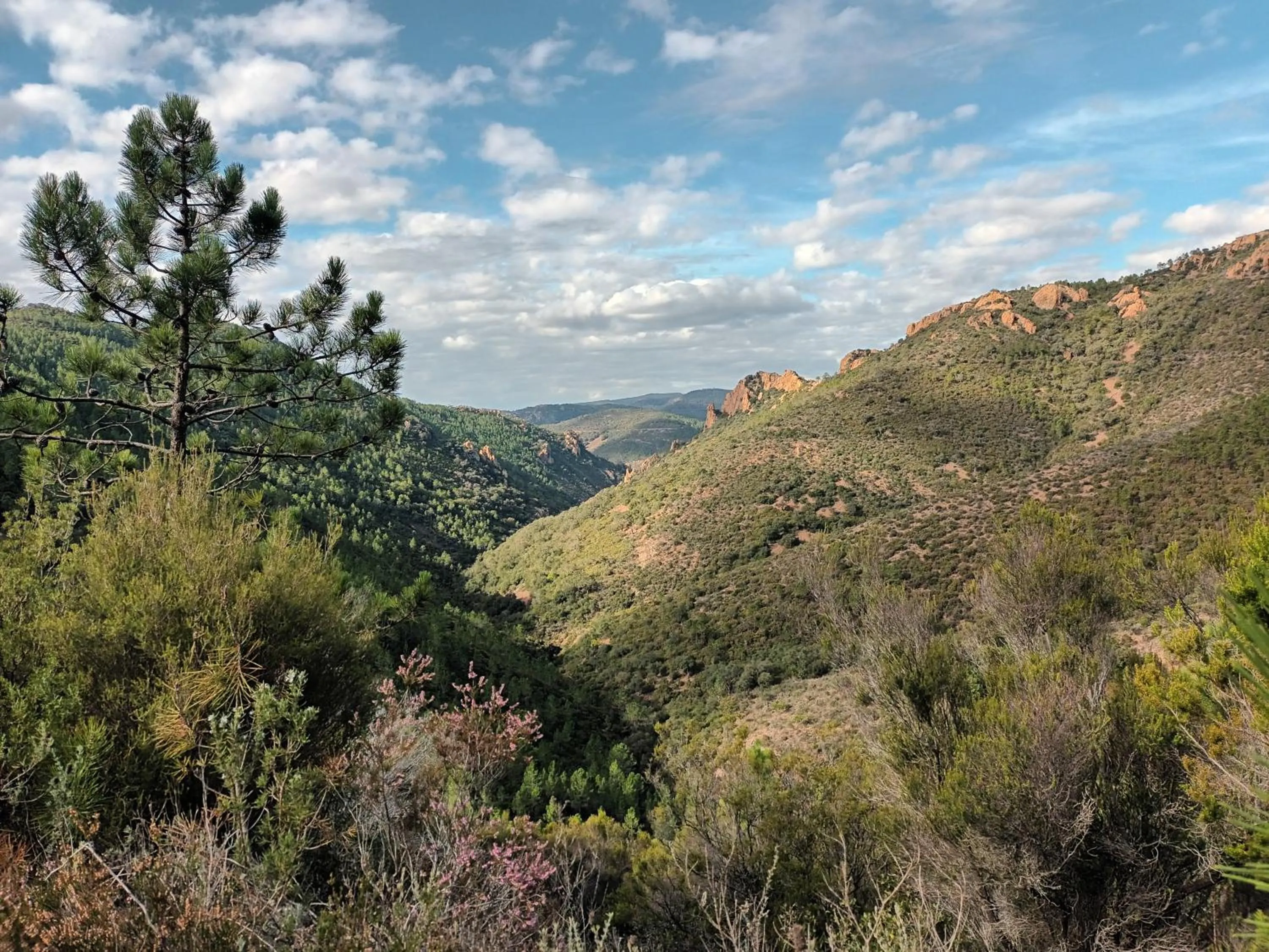 Jolie petite suite Côte d'Azur.