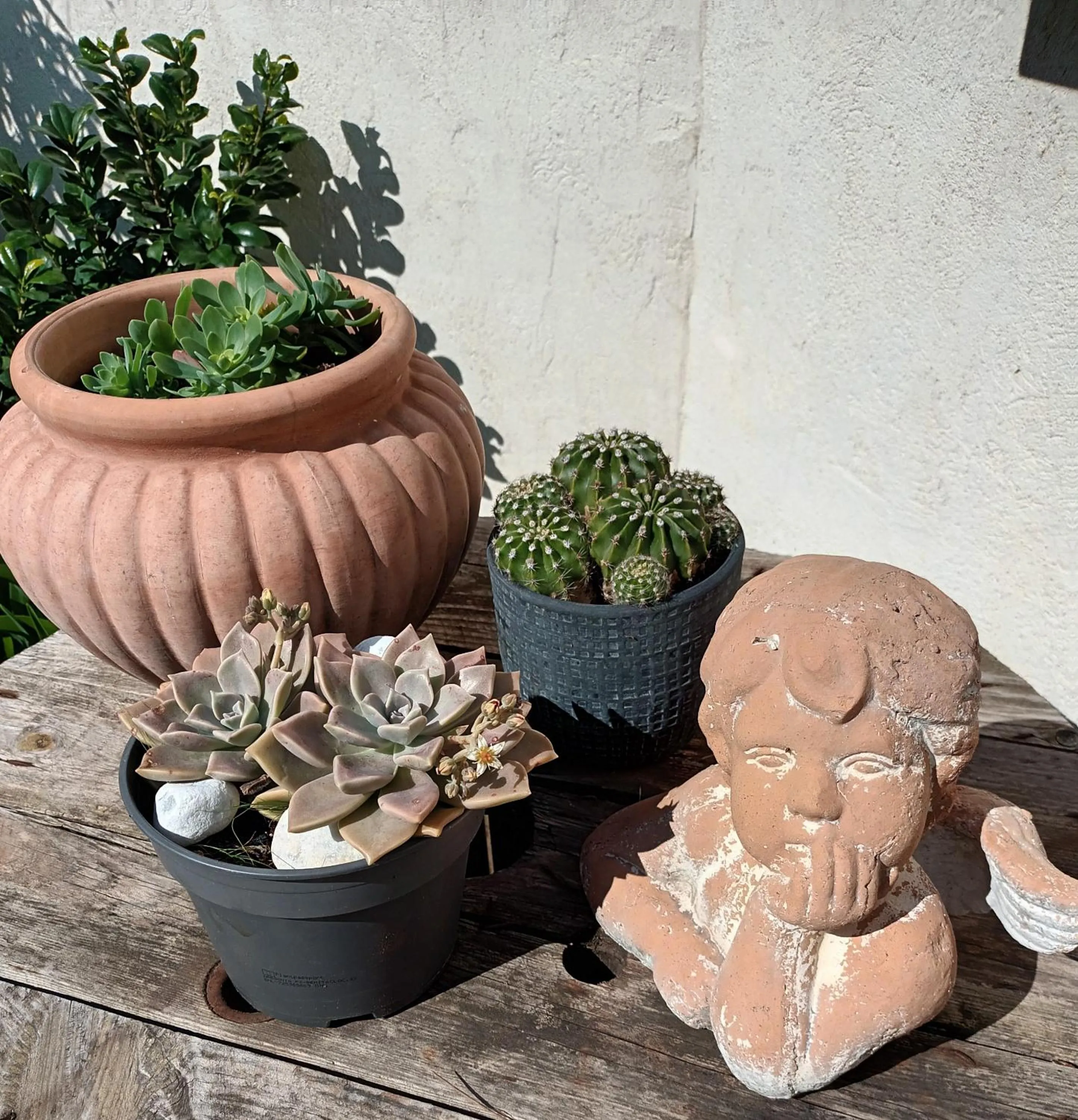 Jolie petite suite Côte d'Azur.