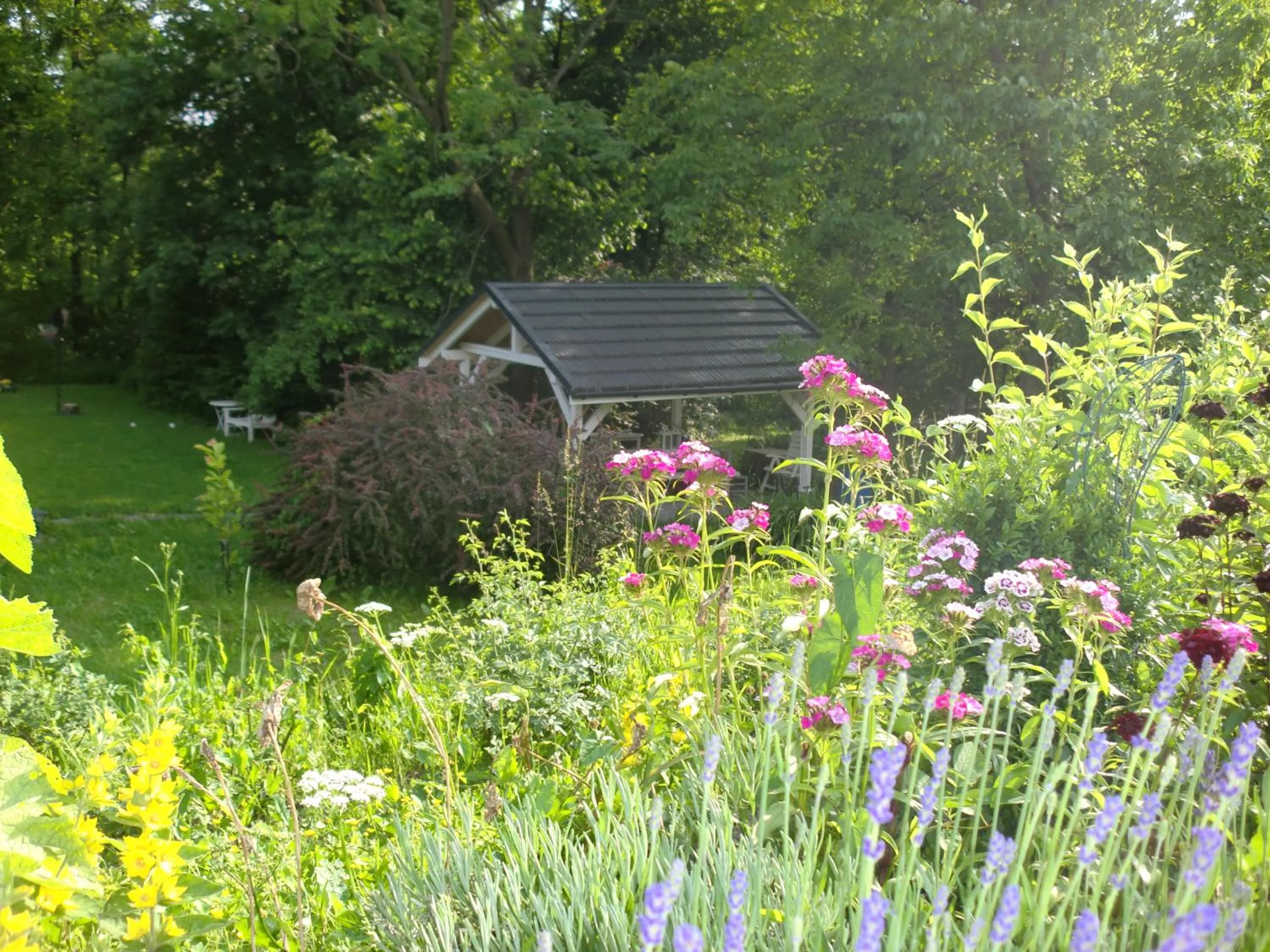 Garden in Lawendowa Dolina