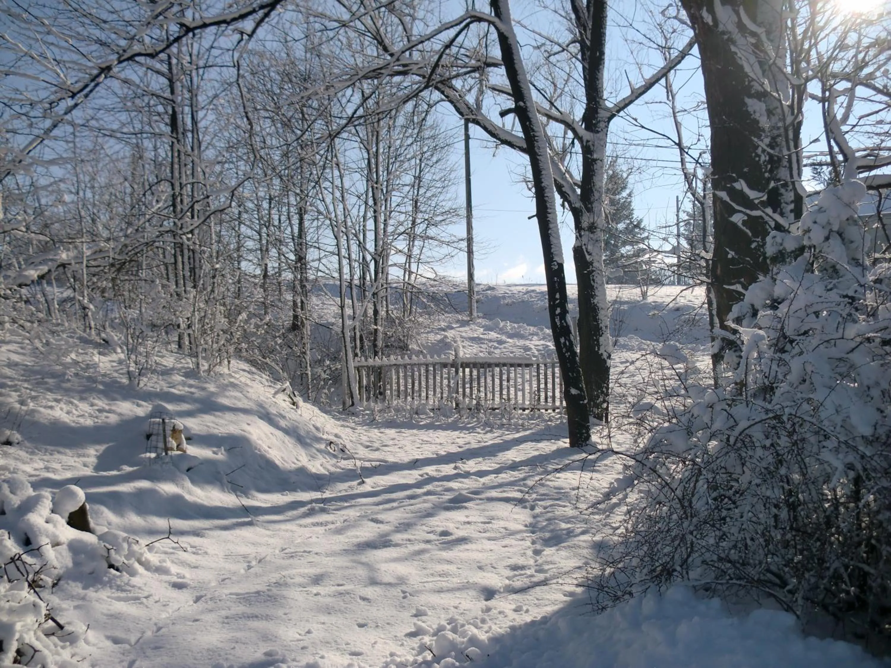 Natural landscape in Lawendowa Dolina