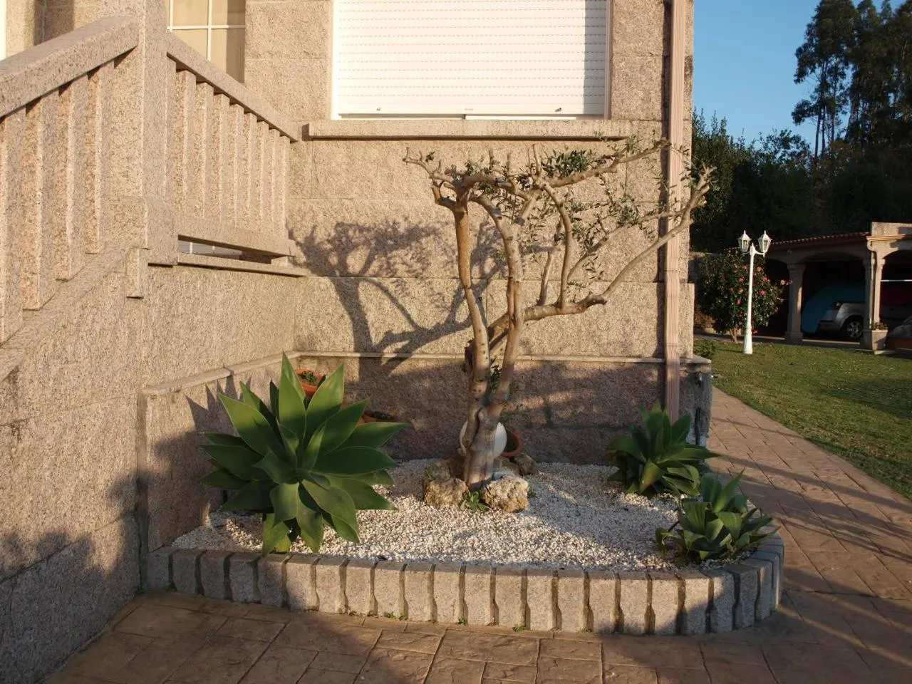 Garden in Chan da Vella