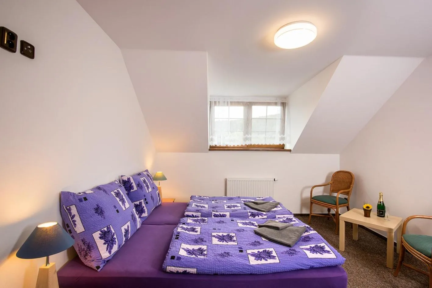 Standard Triple Room in Penzion u Sevcu