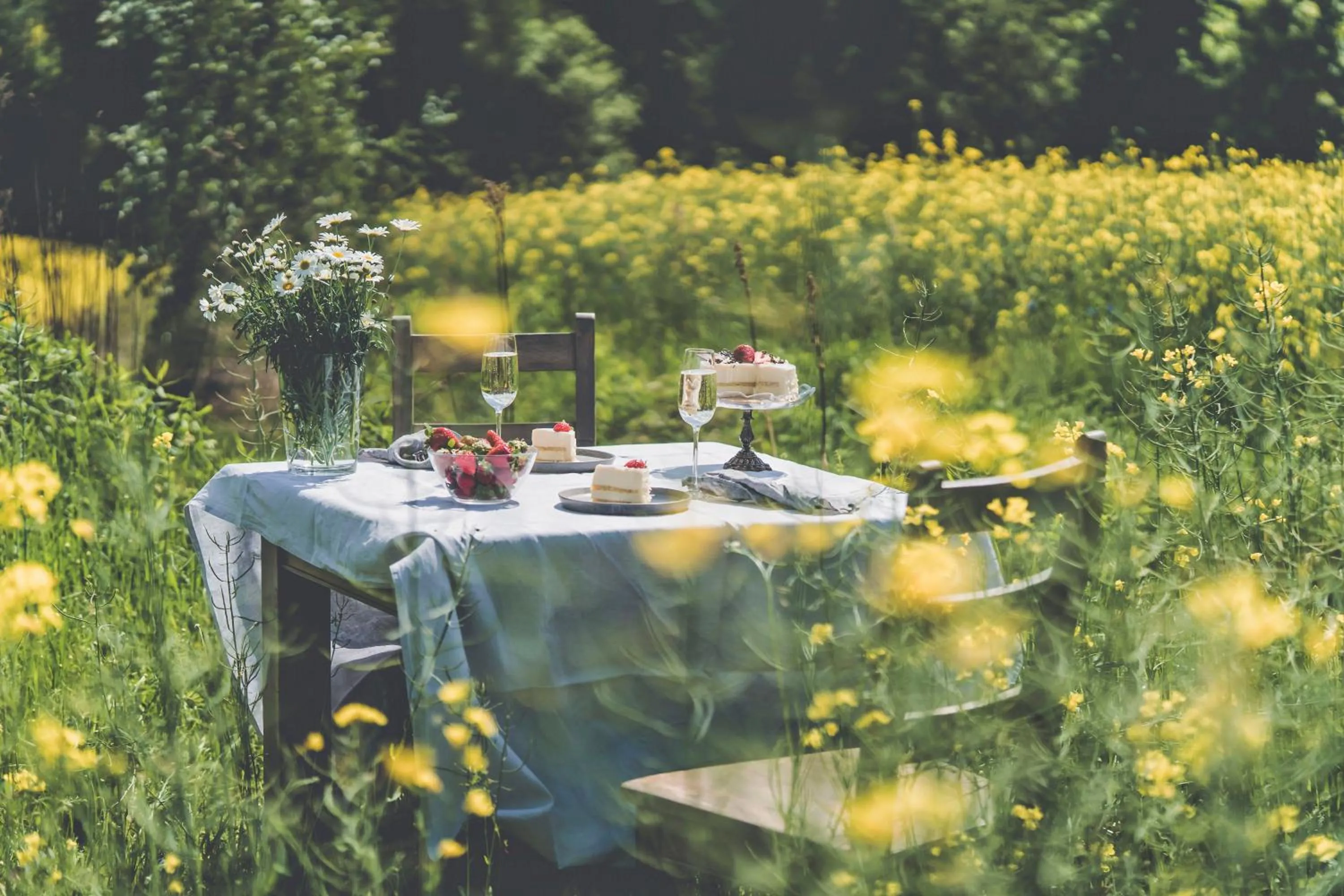 Natural landscape in Łubinowe Wzgórze Dom II