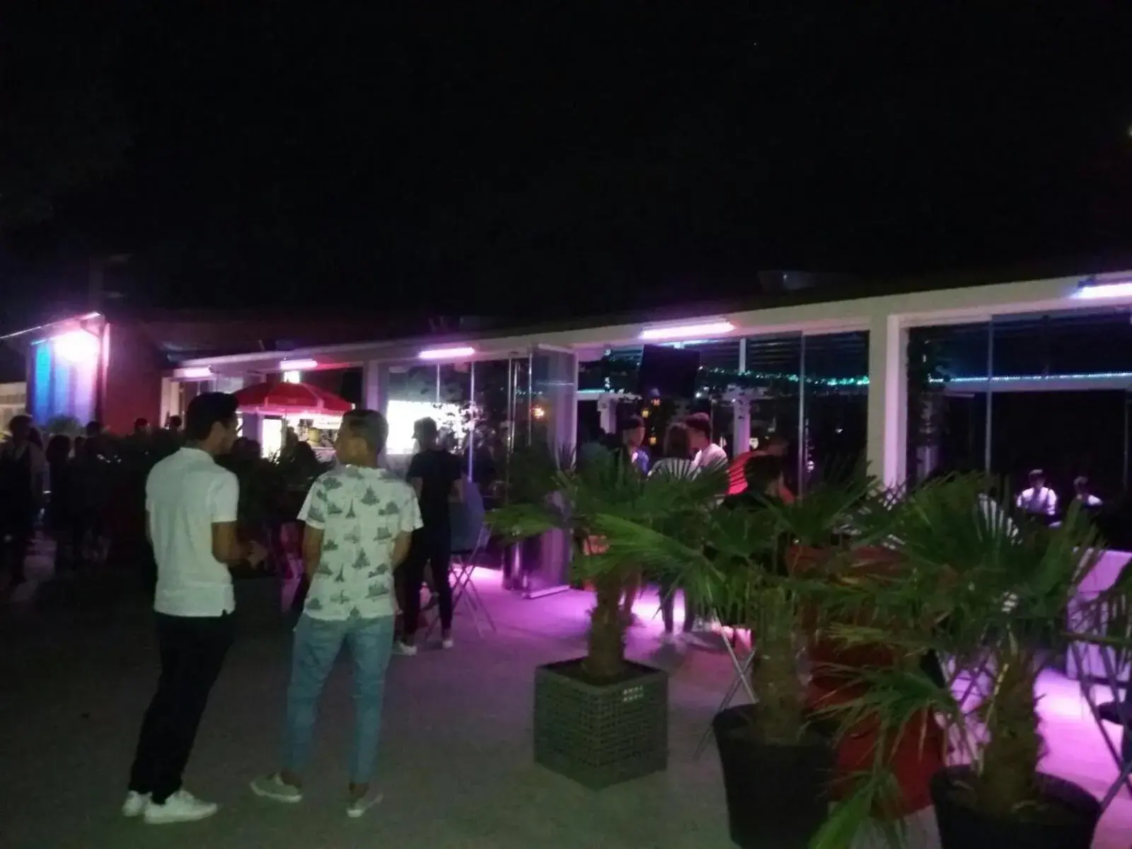 Nightclub / DJ in Hotel Regal Nightclub / DJ in Hotel Regal