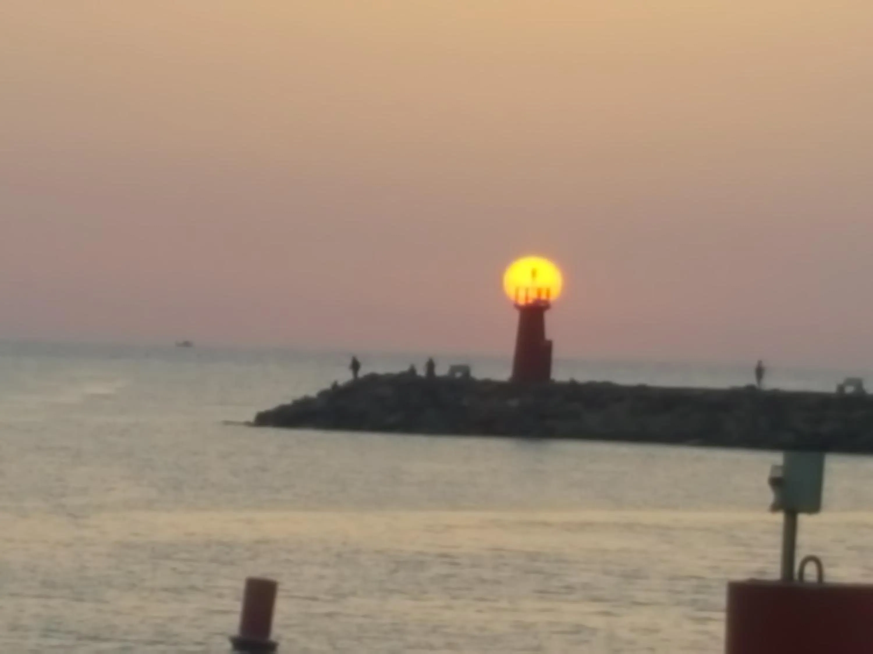 Natural landscape in Hotel Quino