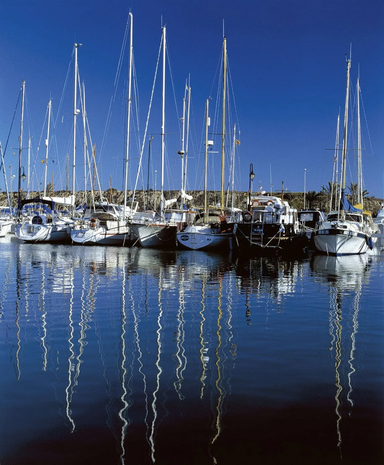 Area and facilities in Hotel Quino