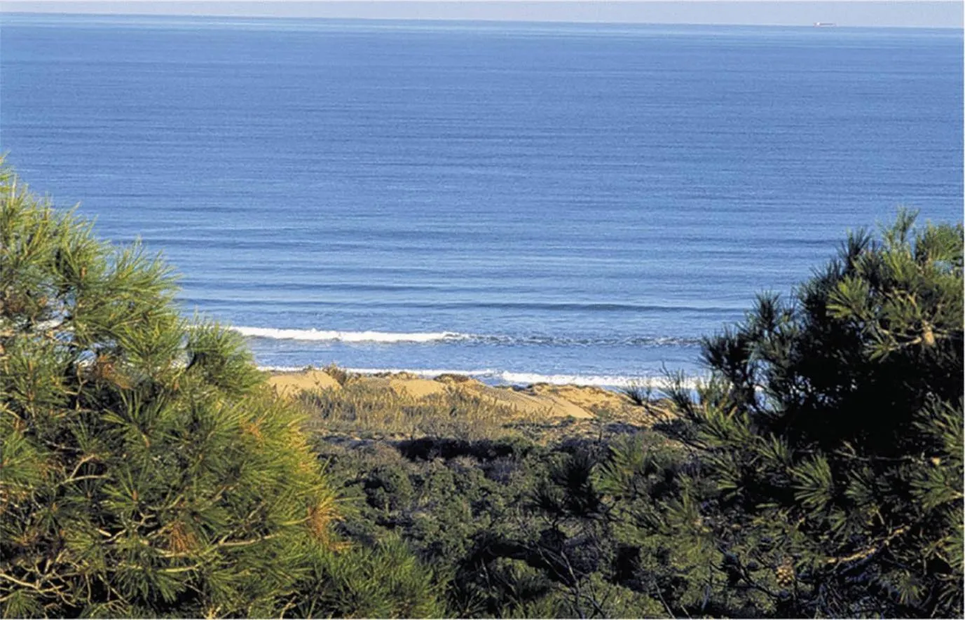 Area and facilities in Hotel Quino