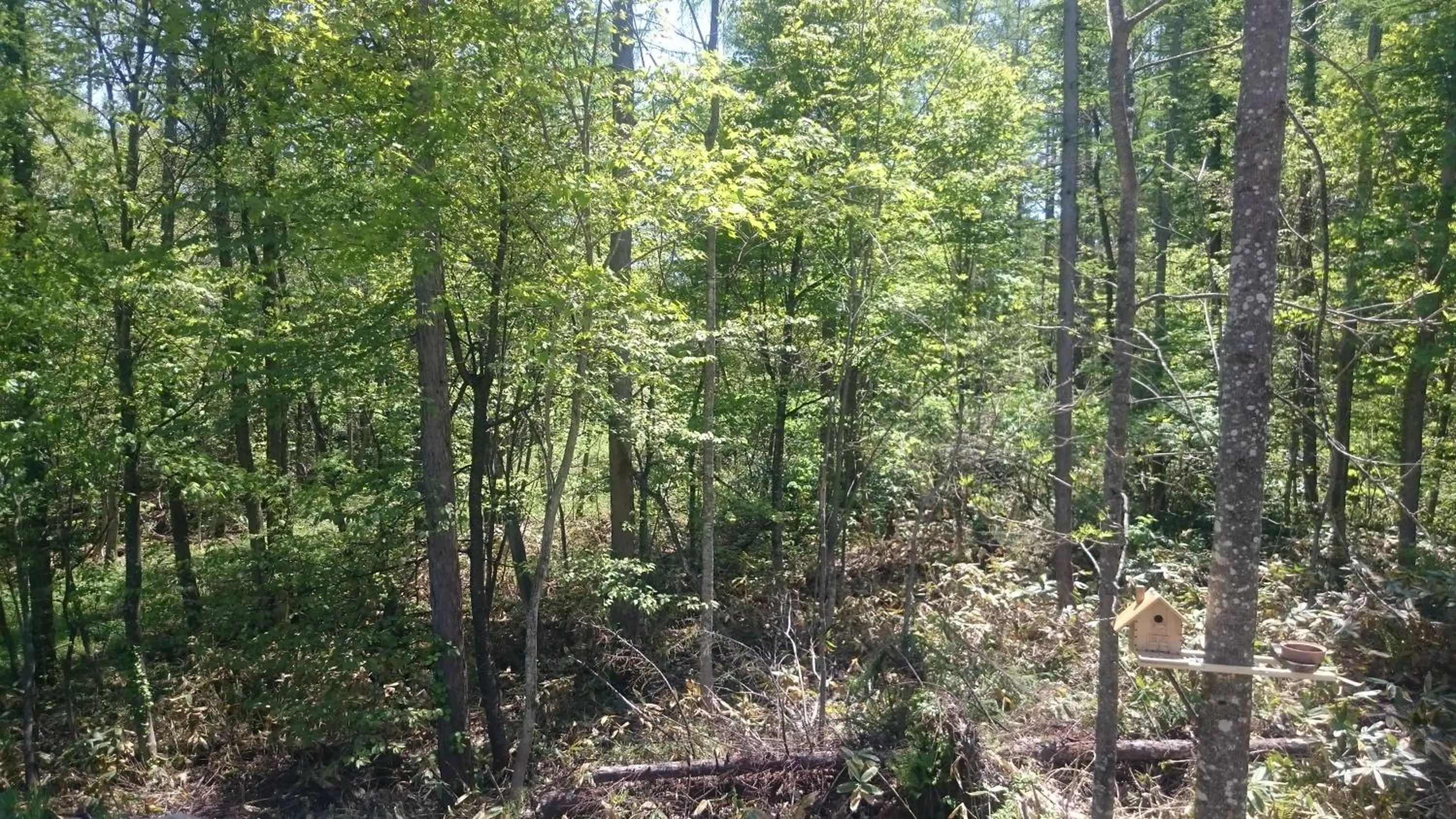 Garden in Ituka Furano e