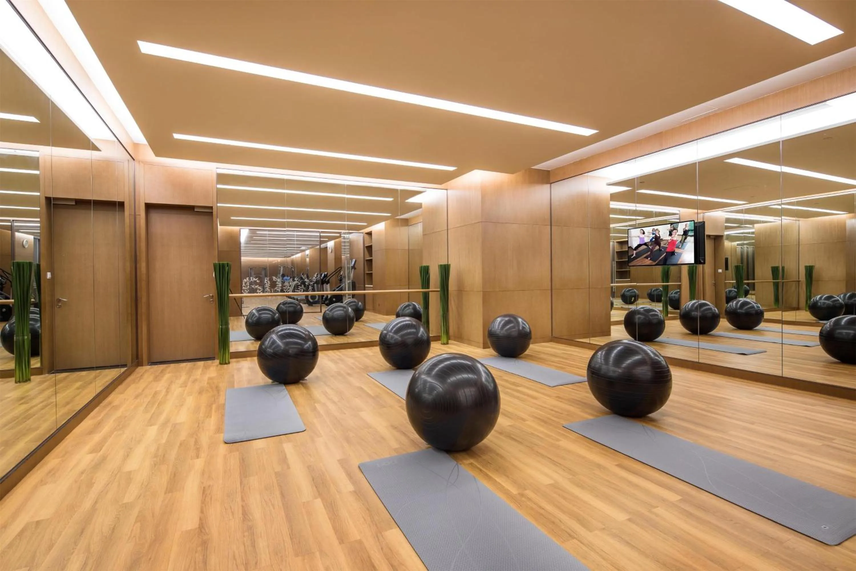 Fitness centre/facilities in Somerset Swan Lake Hefei