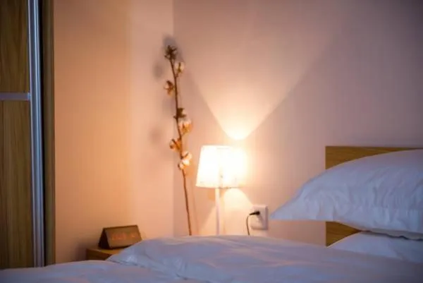 Xizhengjia Apartment Hotel (Guangzhou Financial City Keyun Road subway station store)